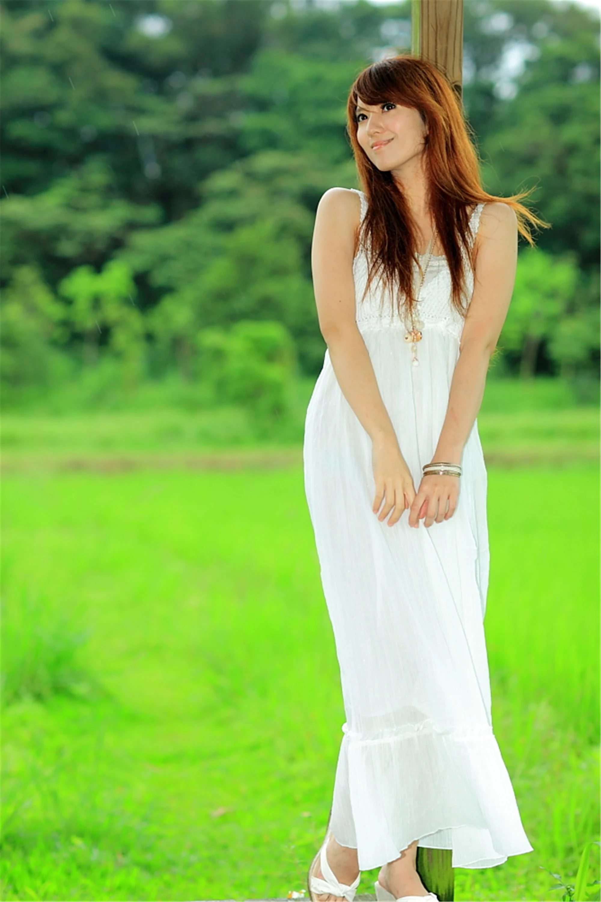 30743057.webp