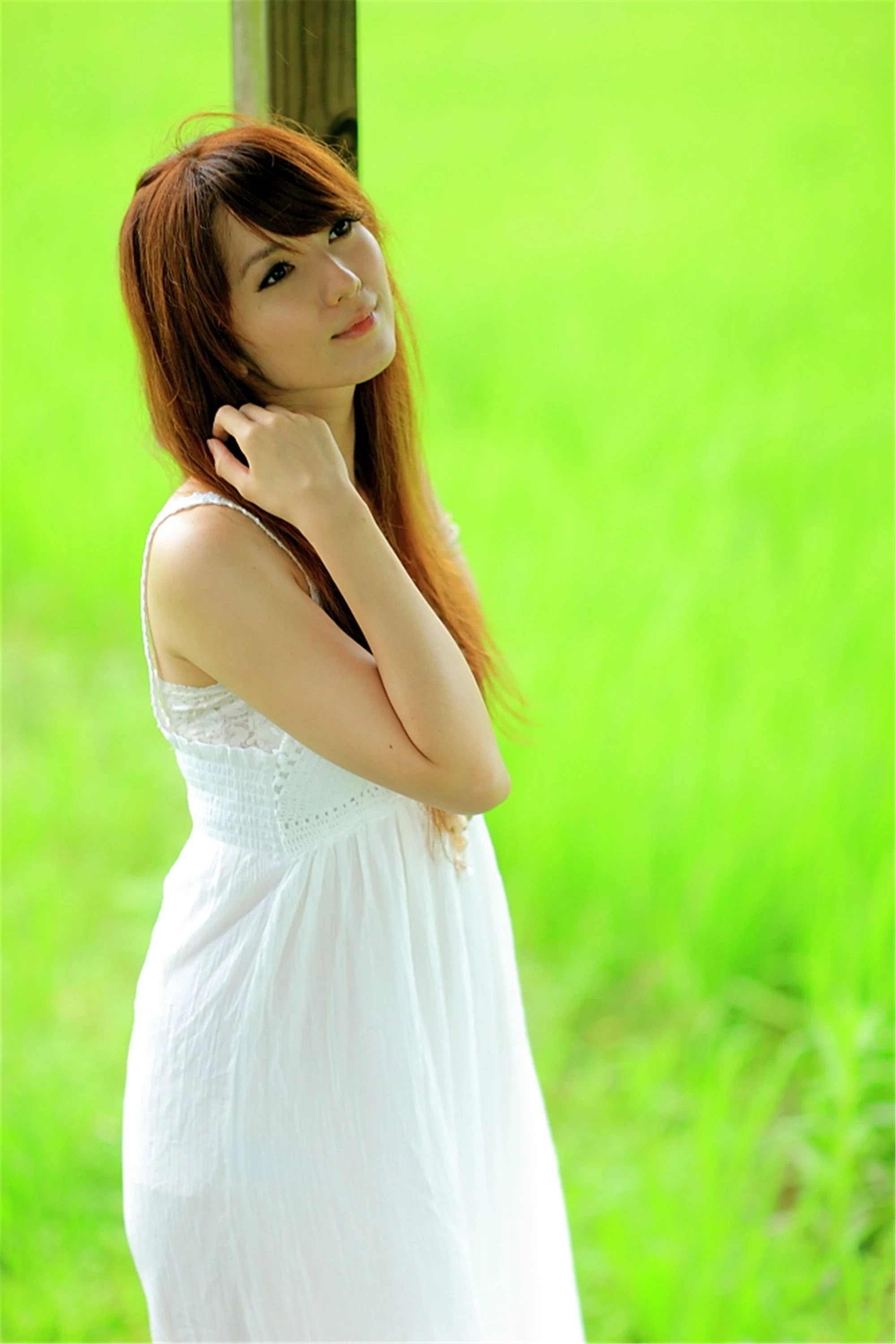 30743063.webp