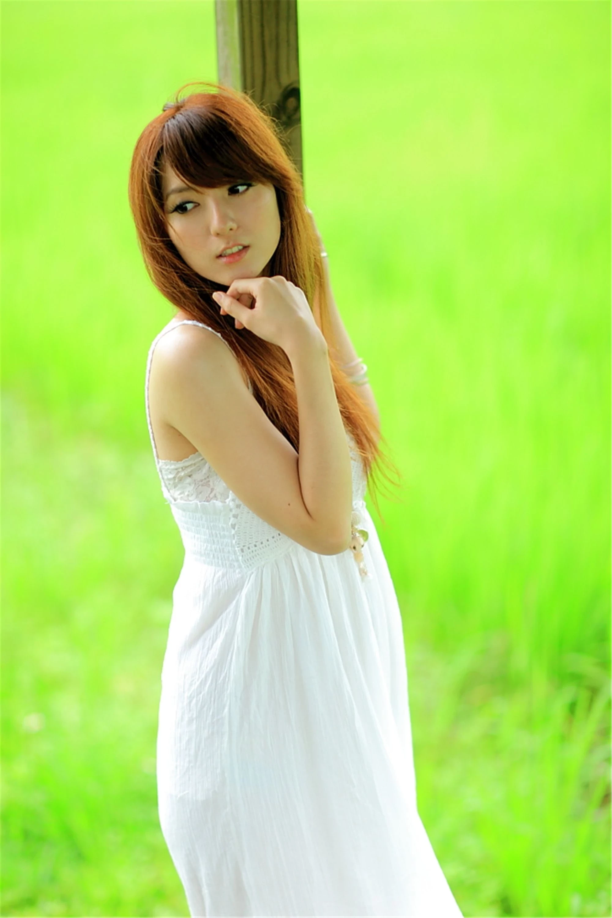 30743064.webp
