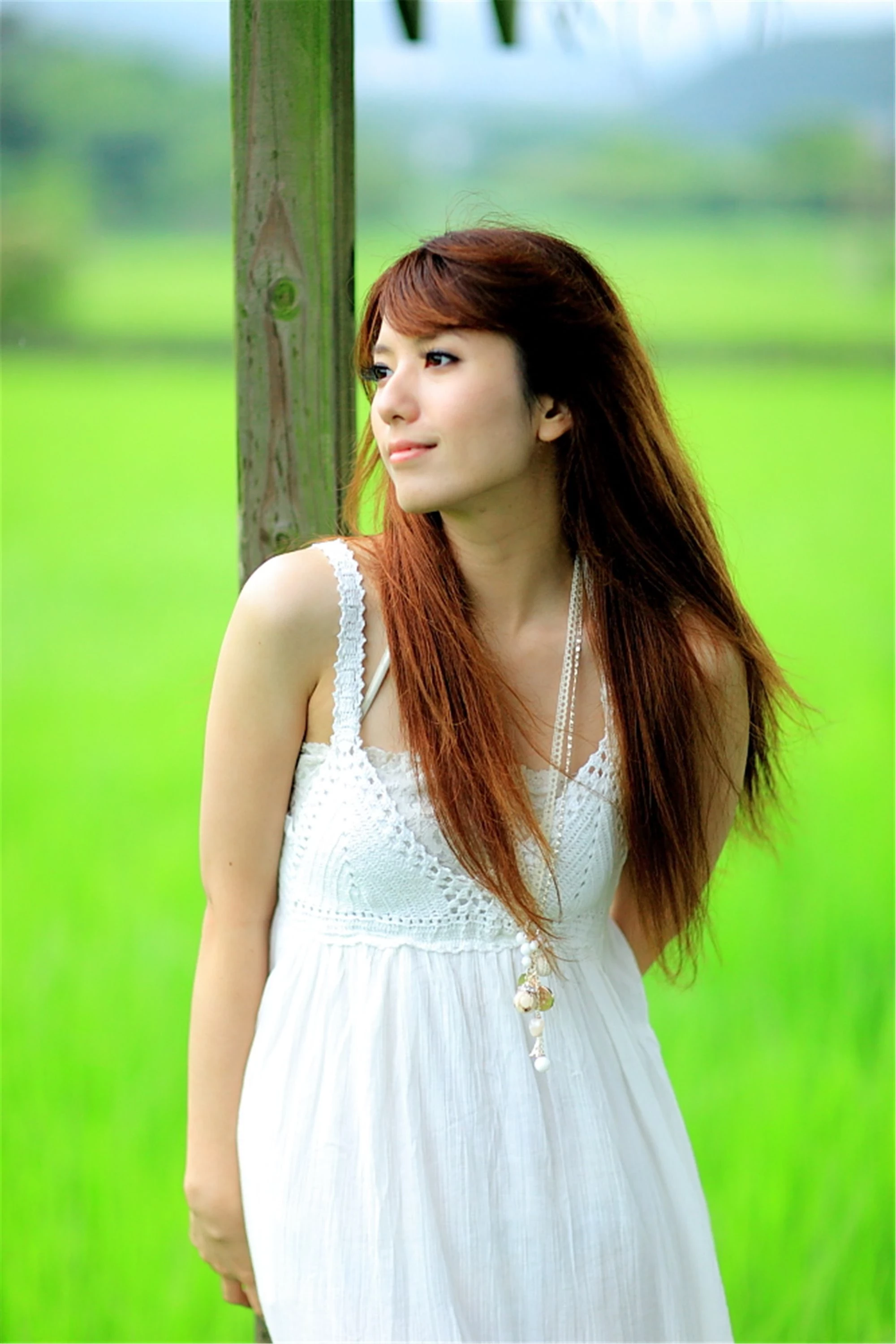 30743072.webp