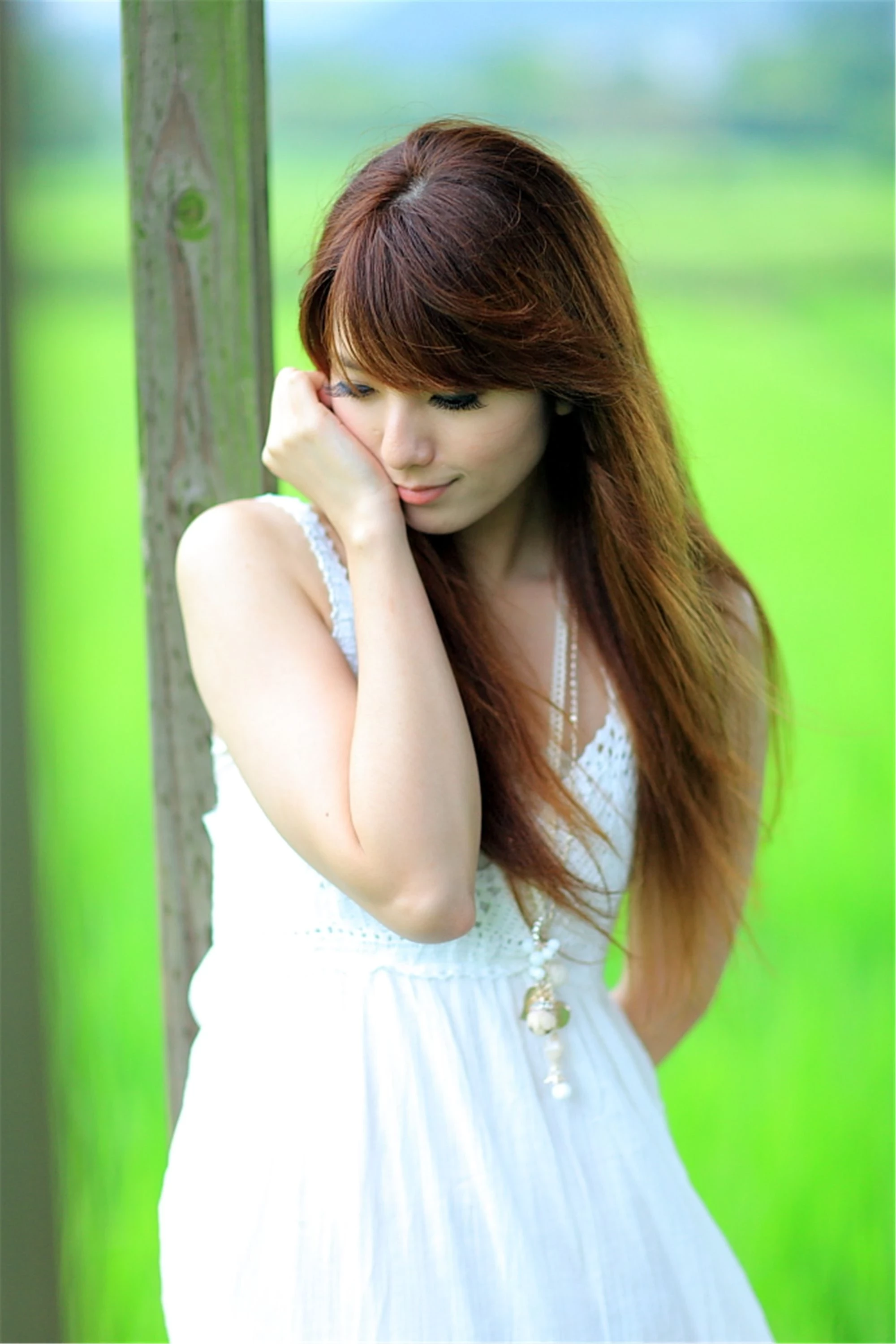 30743073.webp