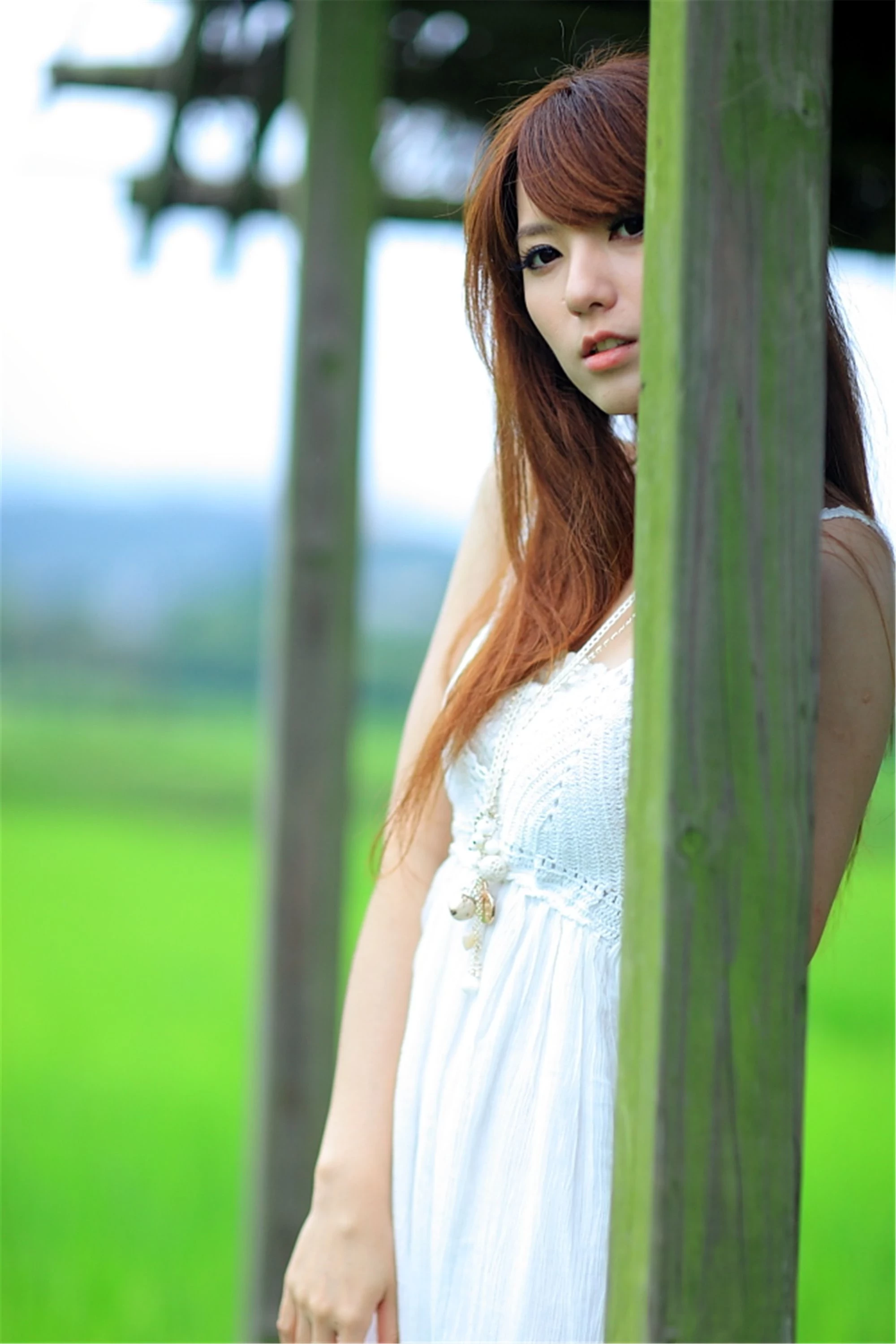 30743078.webp