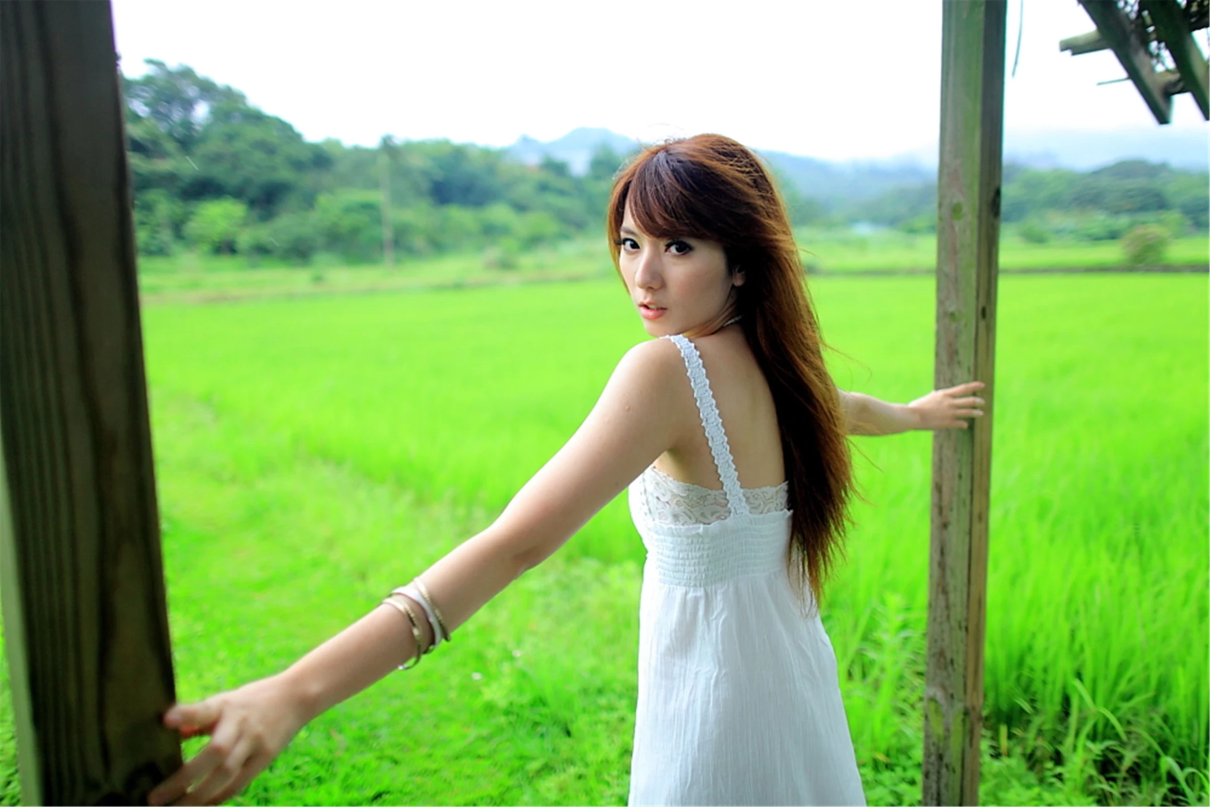 30743080.webp
