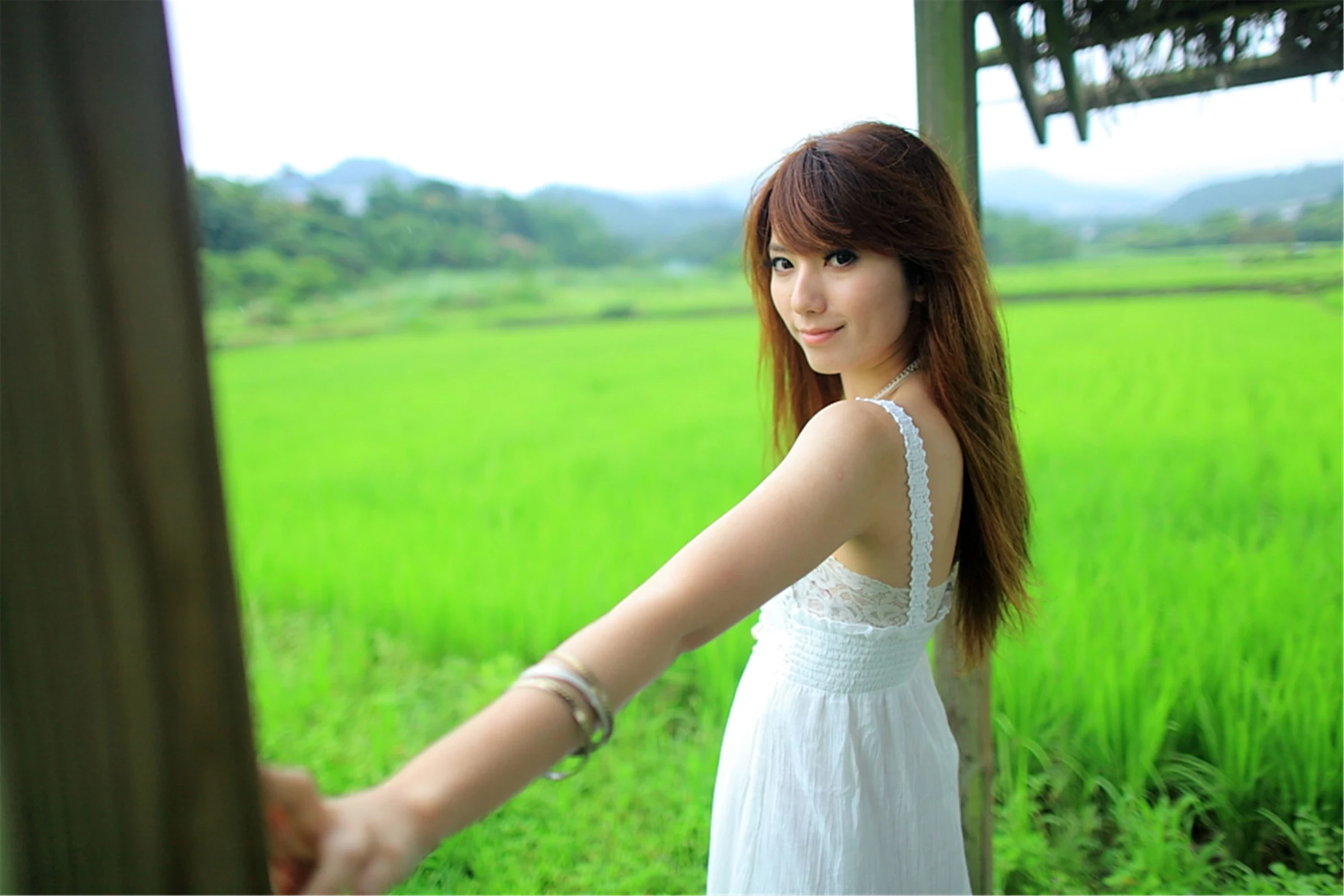 30743081.webp