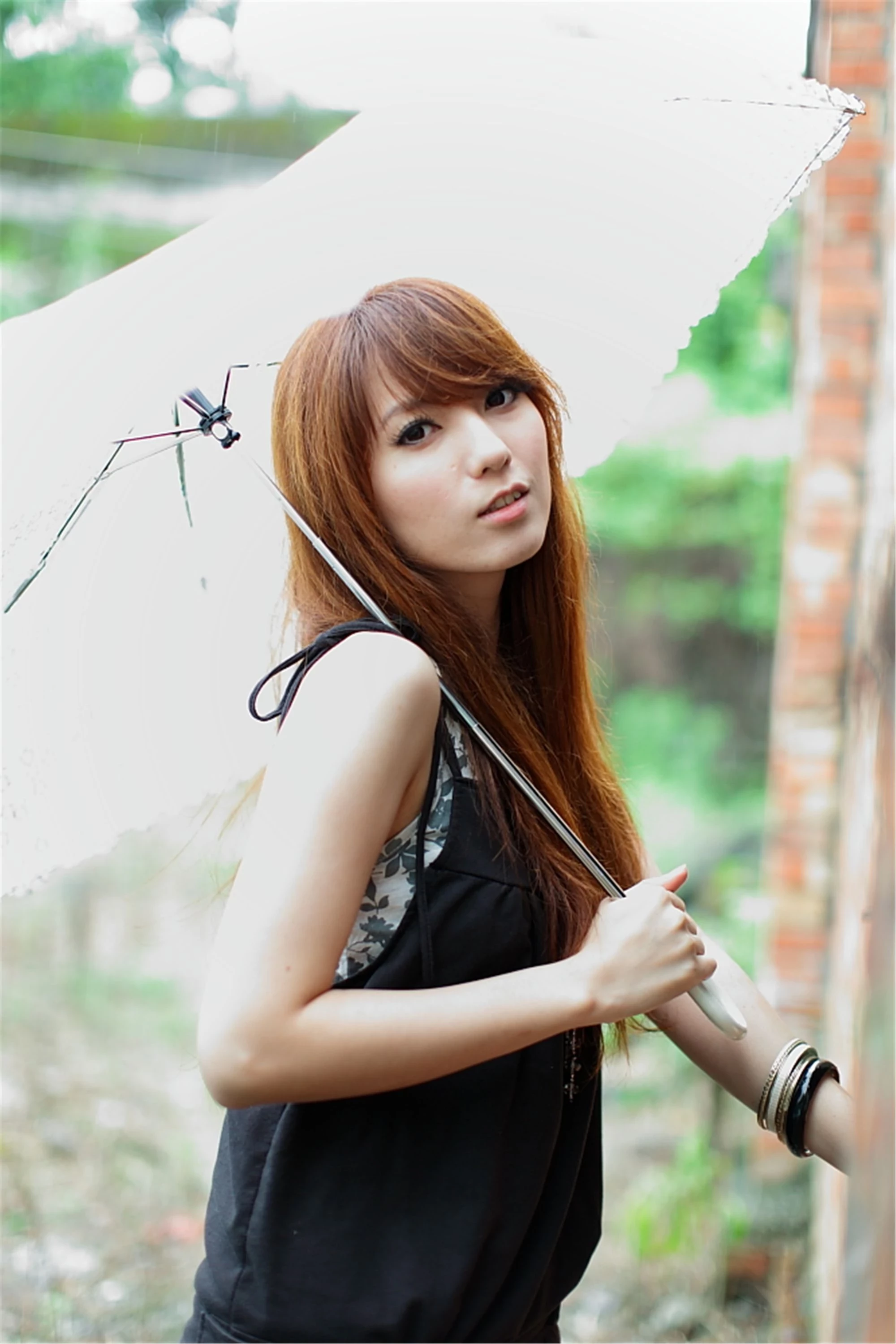30743090.webp