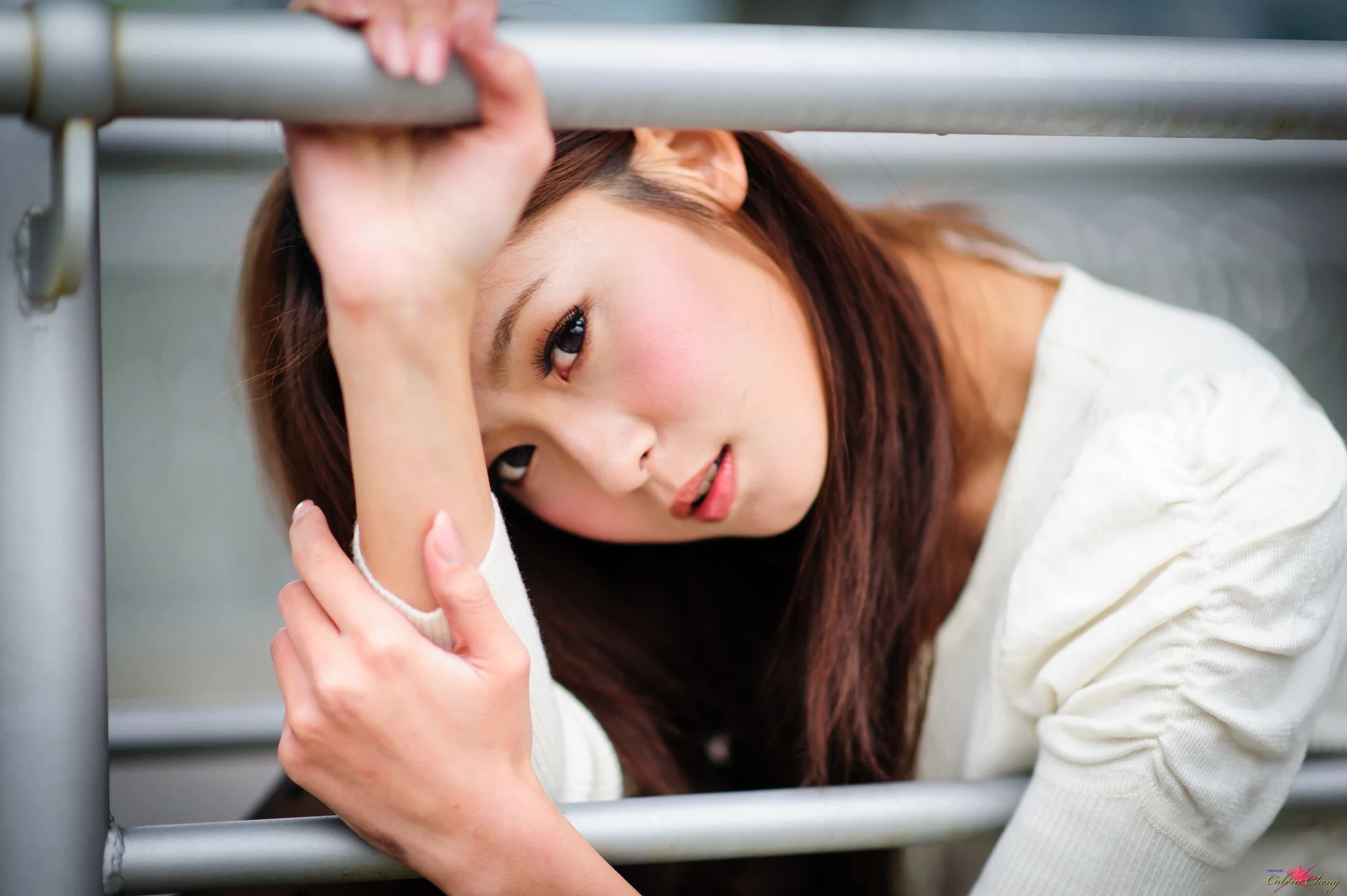 30762199.webp