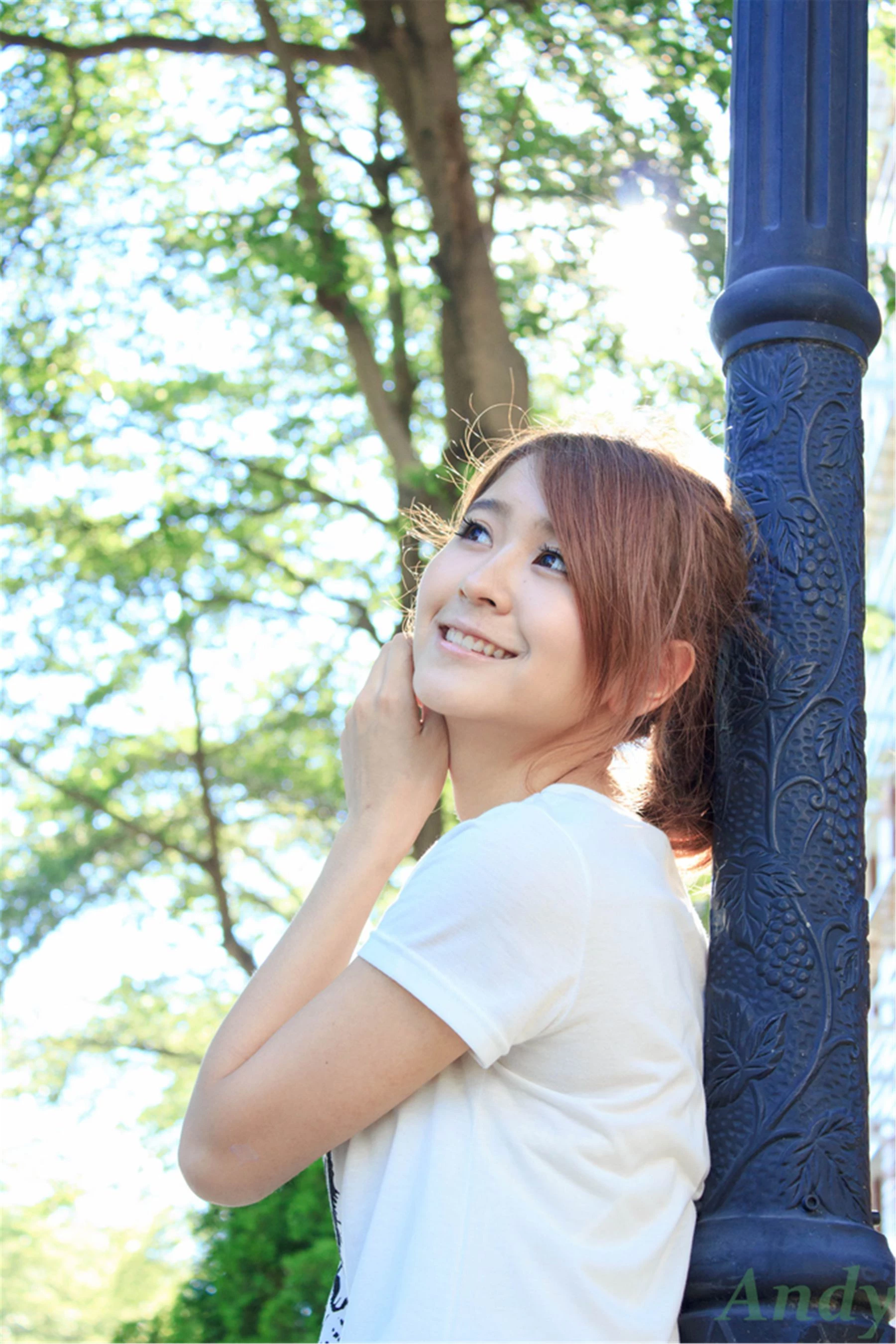 30742893.webp