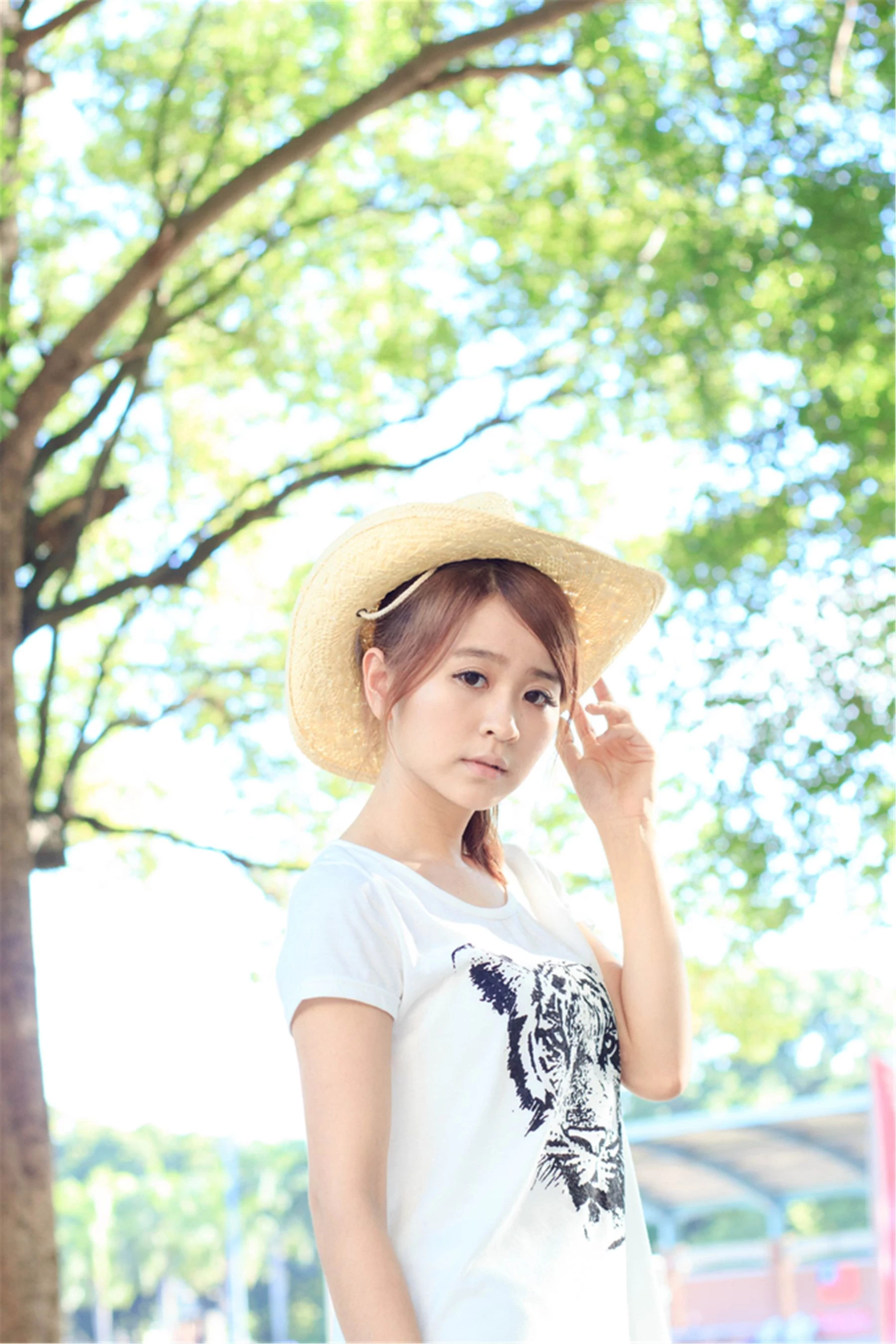30742897.webp