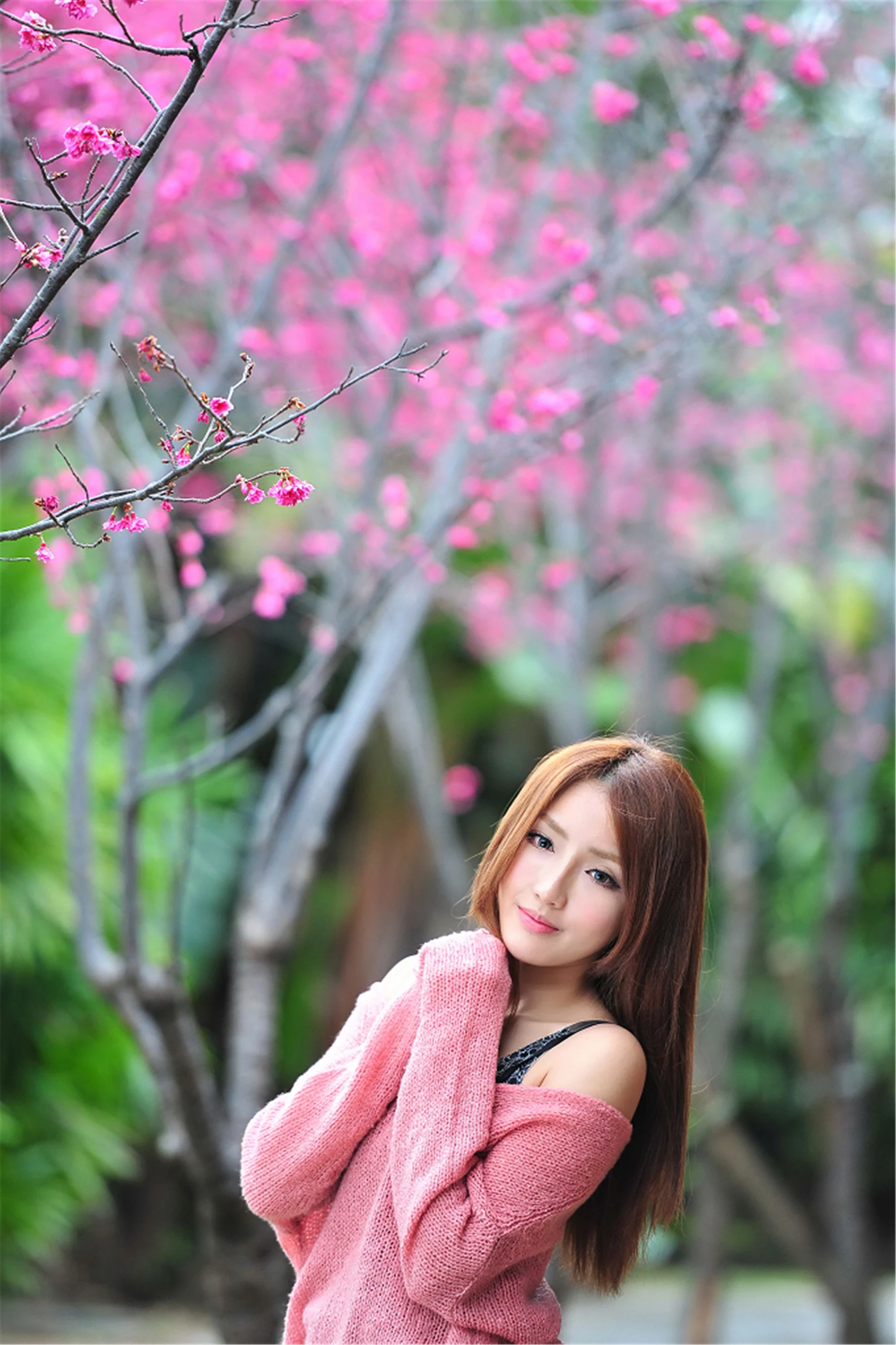 30742942.webp