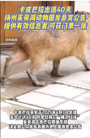 83d76003-86d5-4987-9488-2bd2db2b80c5.png 83d76003-86d5-4987-9488-2bd2db2b80c5.png
