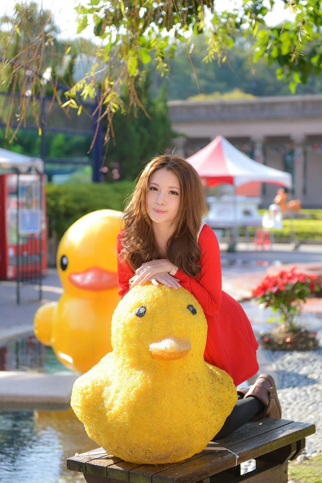 30745668.webp
