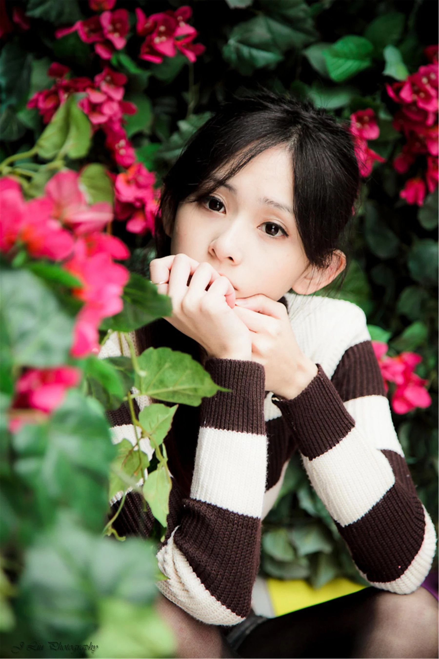 30743284.webp