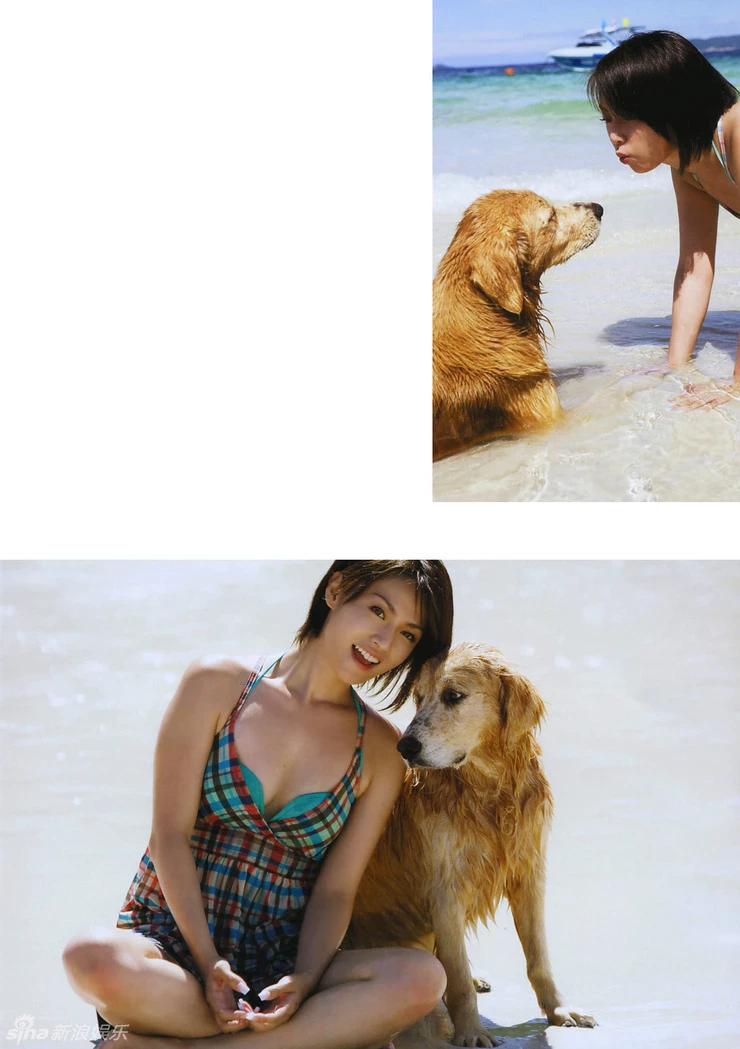 17669186.webp