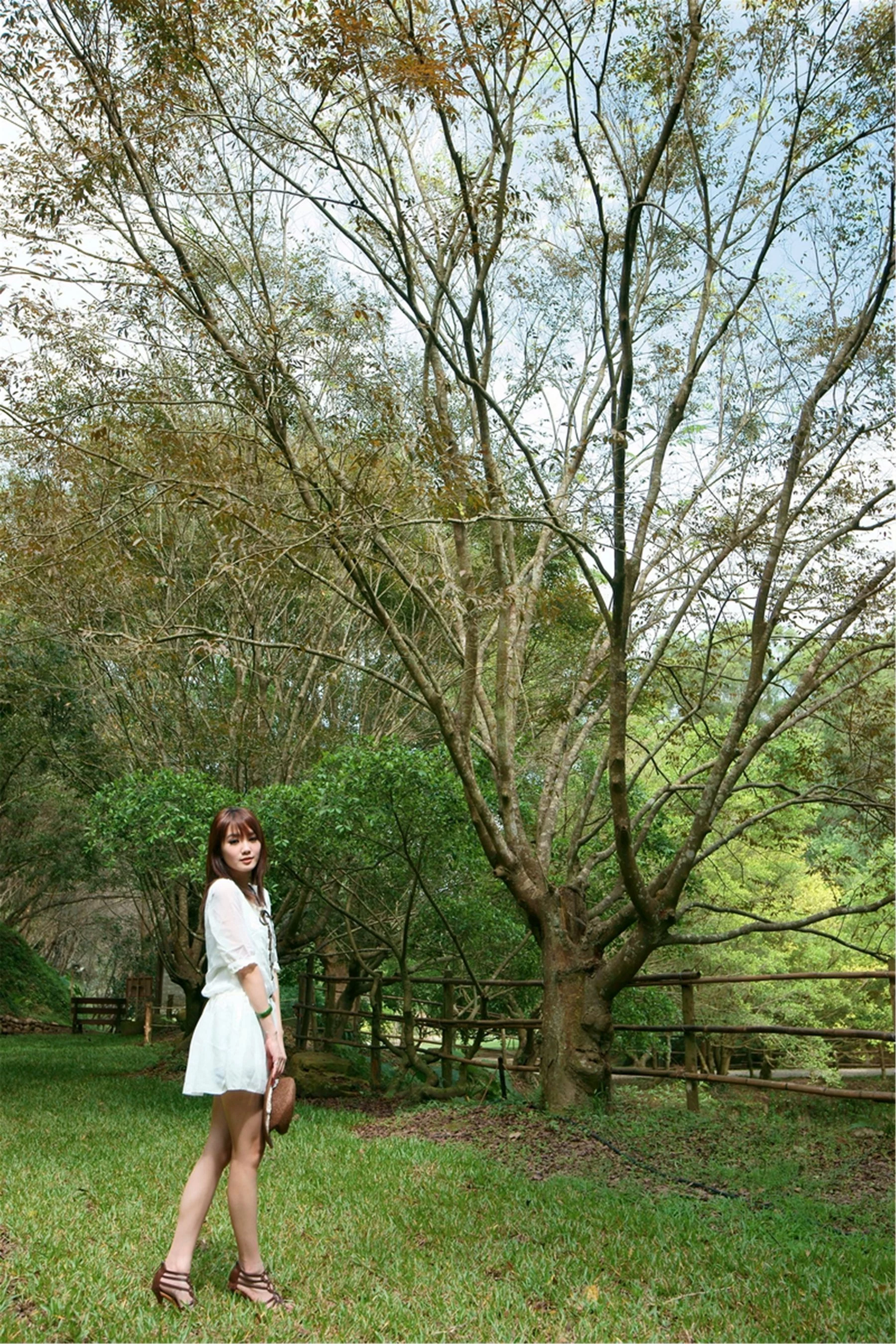30743534.webp