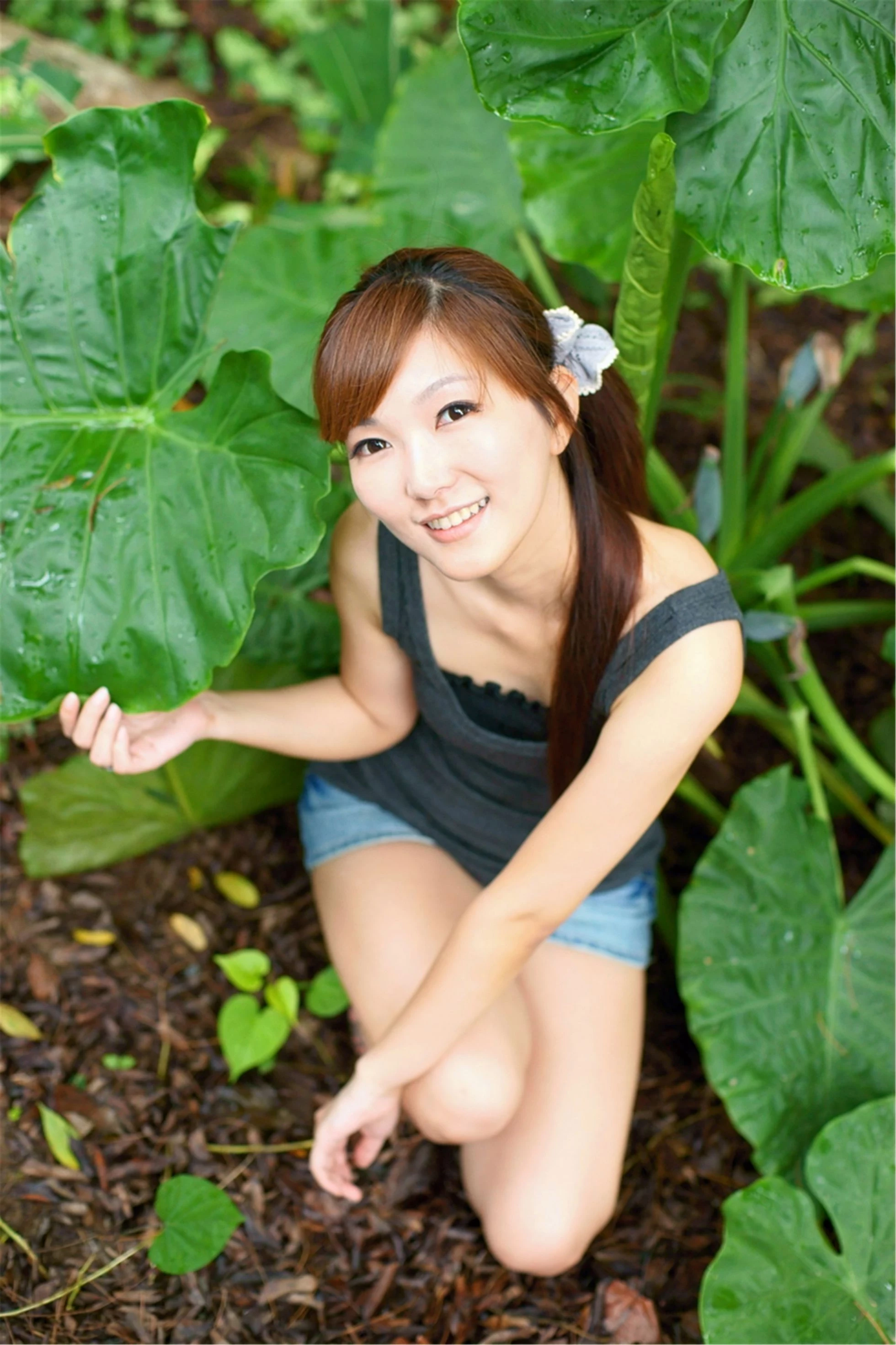 30743667.webp