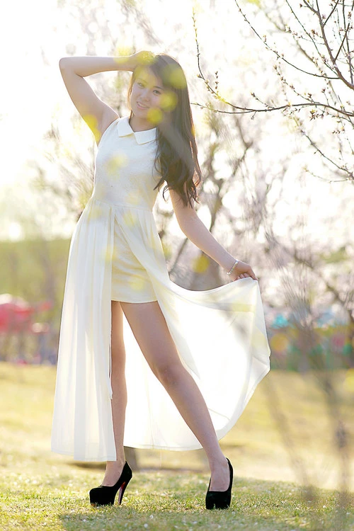 17178775.webp