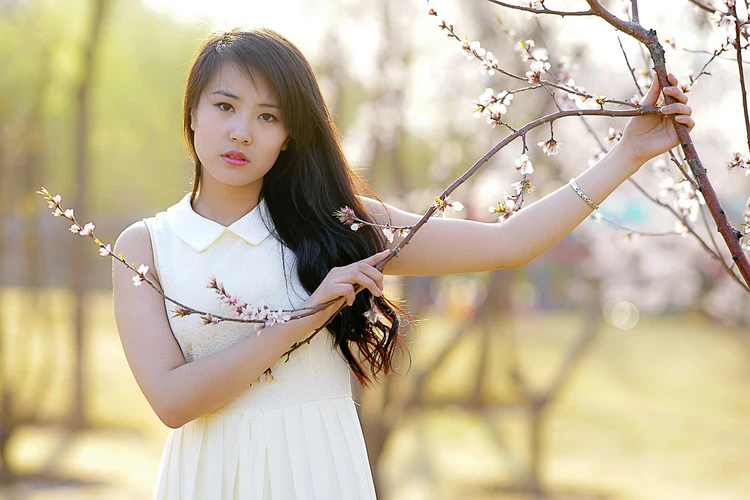 17178778.webp