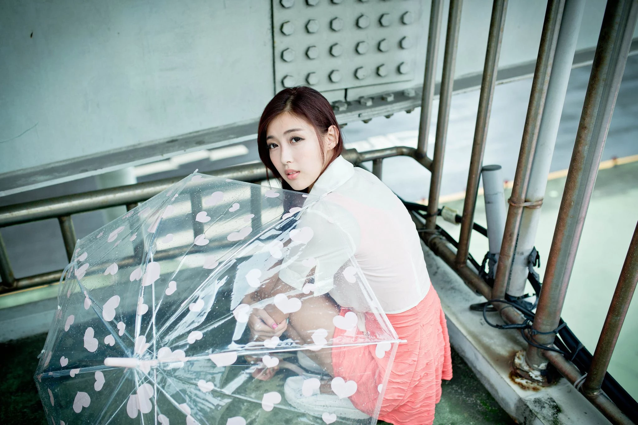30742073.webp