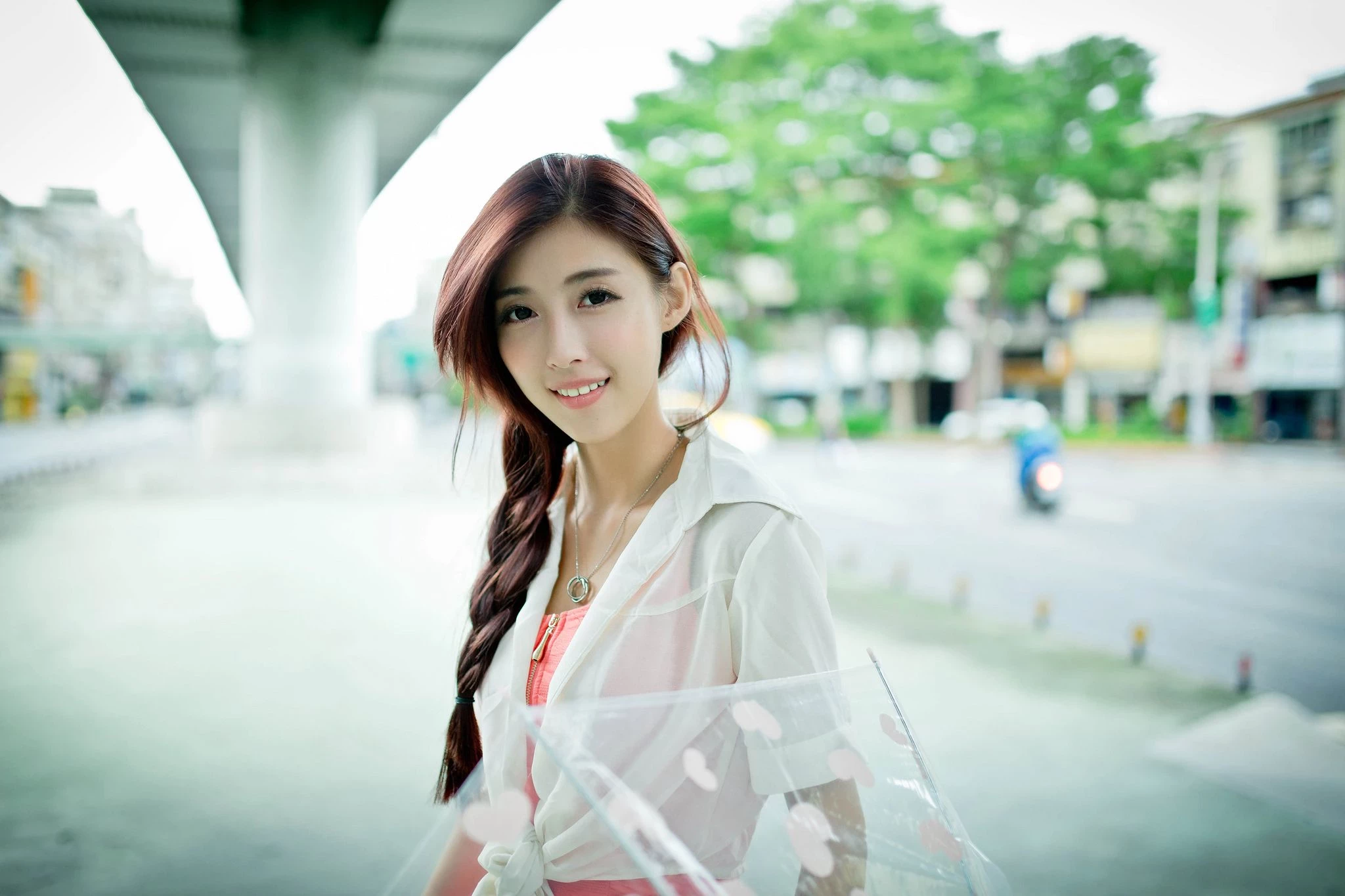 30742091.webp