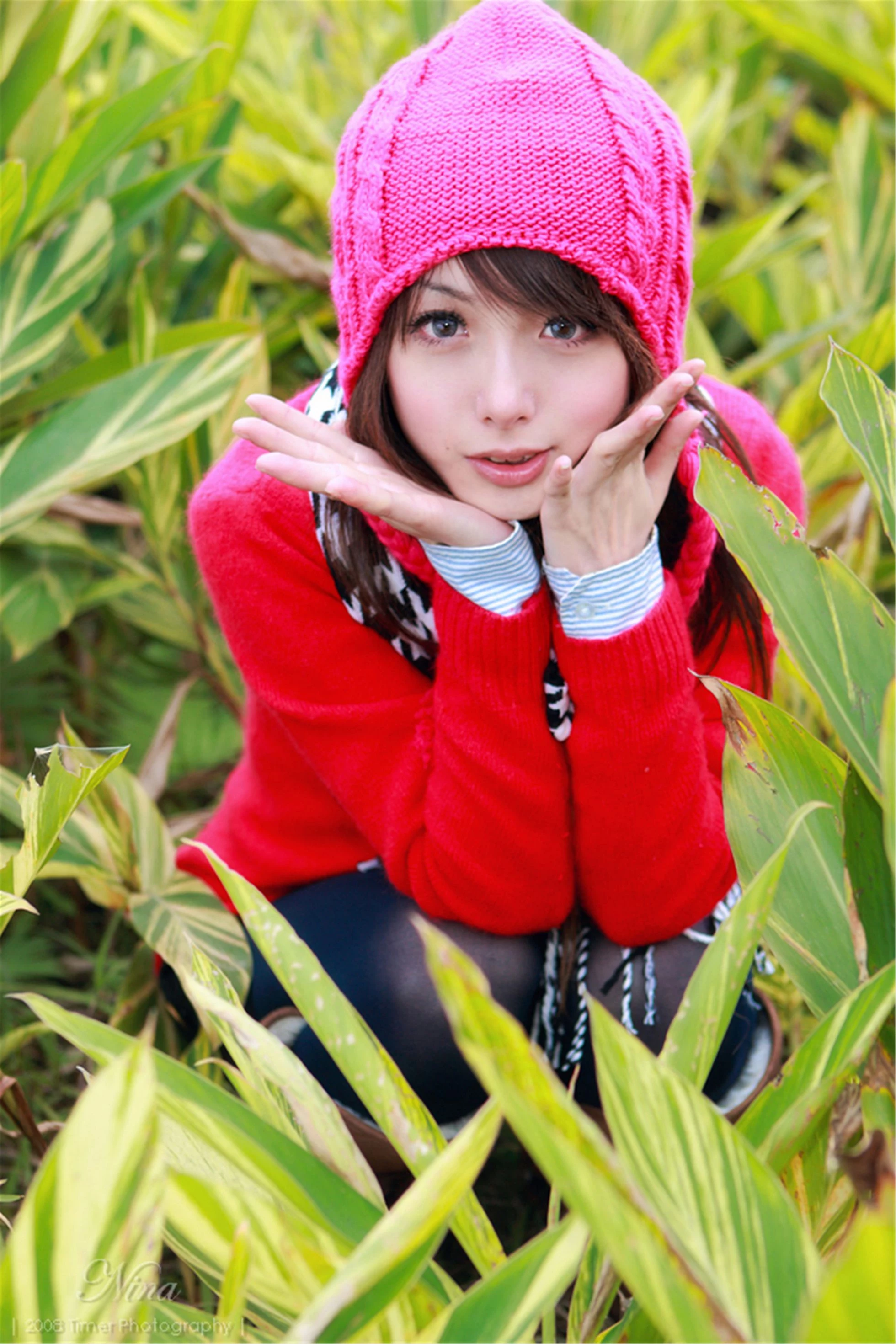 30743767.webp