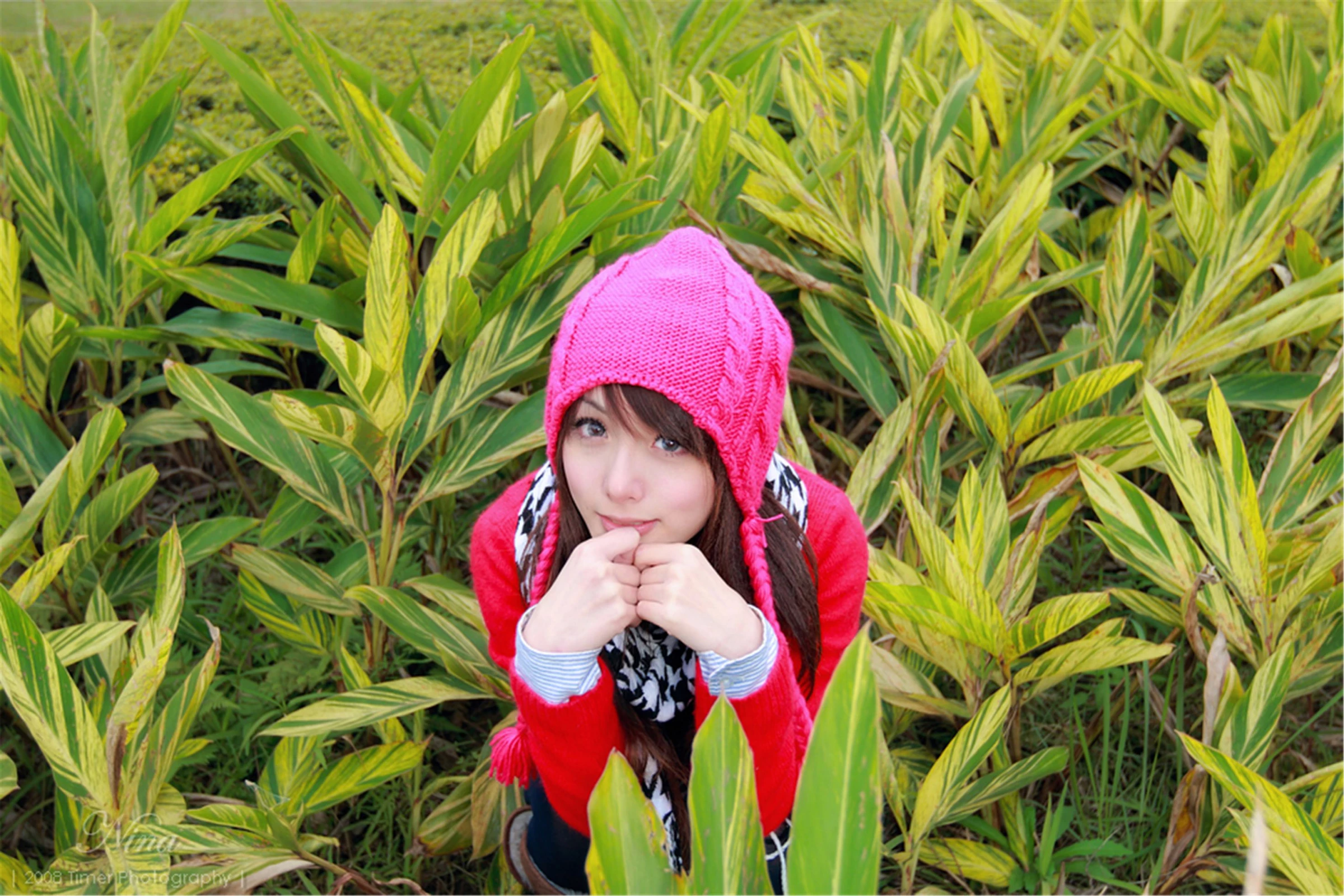 30743769.webp