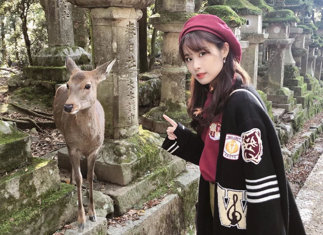 4149907.webp