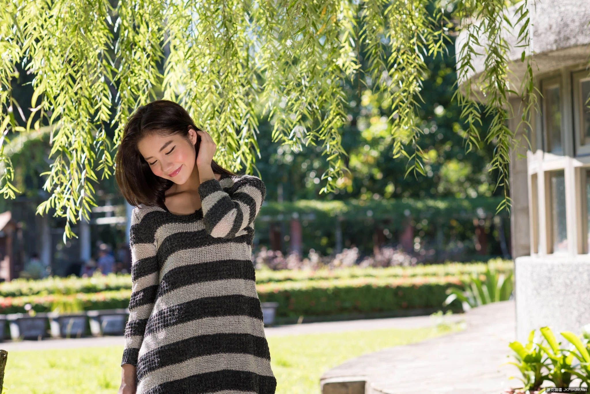 17087099.webp