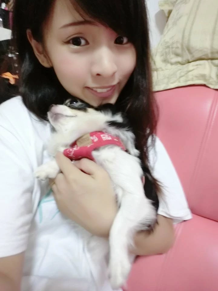 17102572.webp
