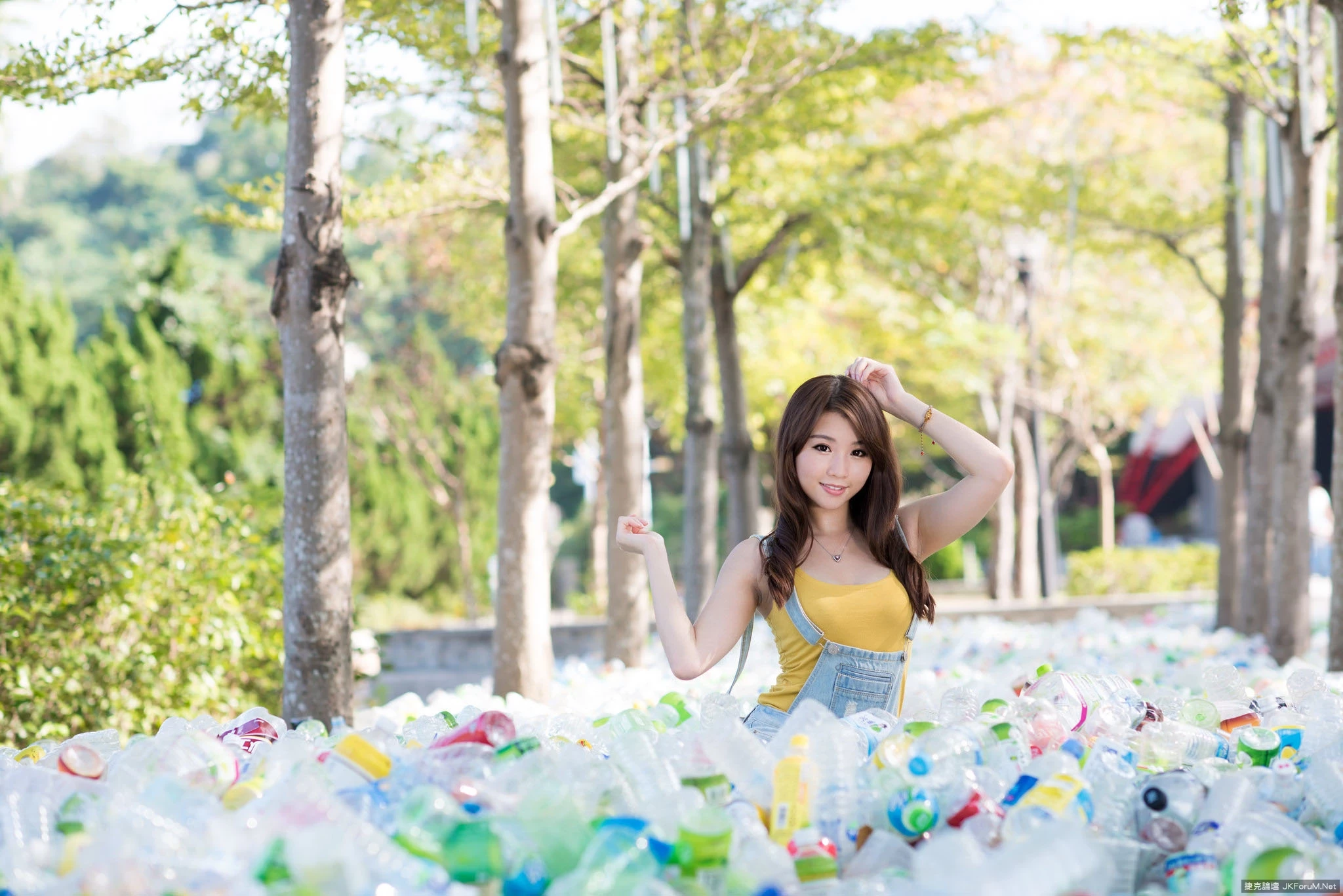 17086775.webp