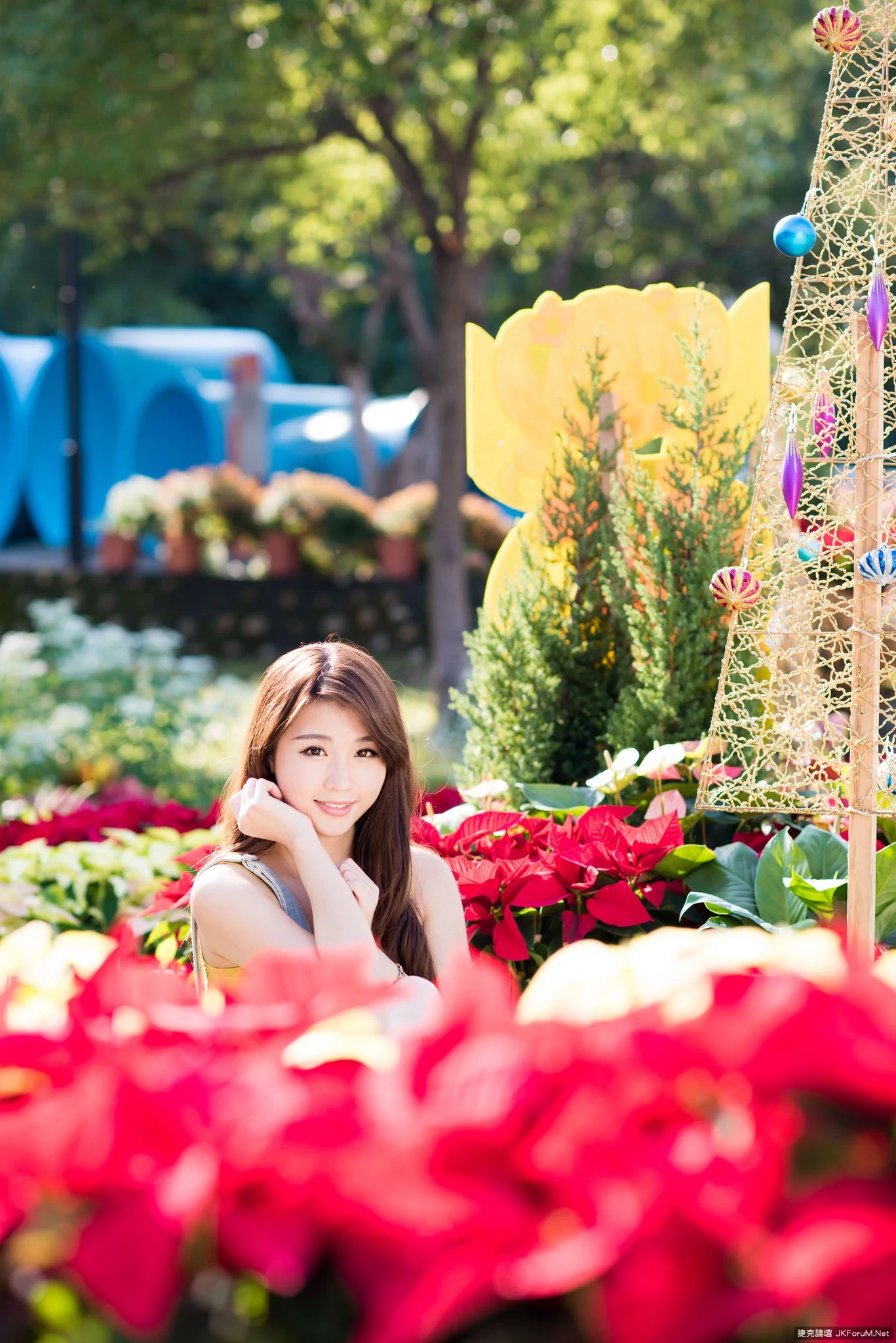 17086794.webp