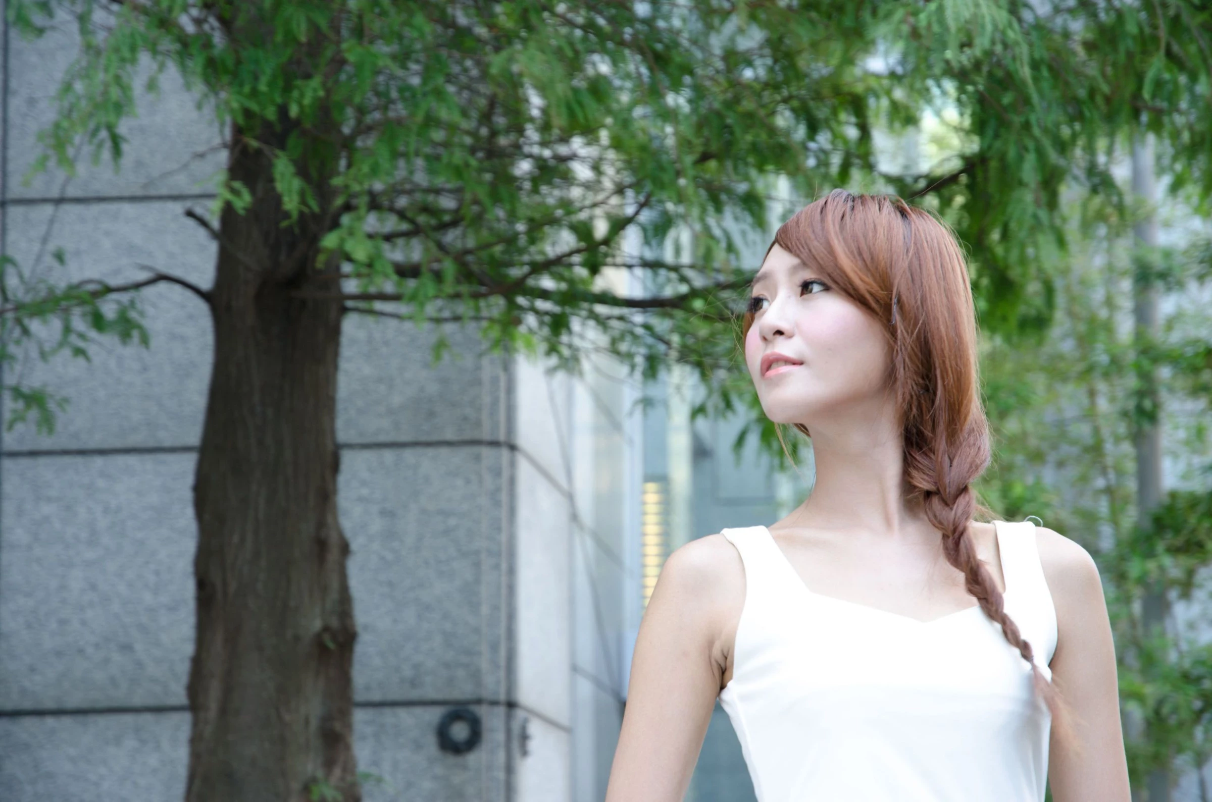 30751577.webp