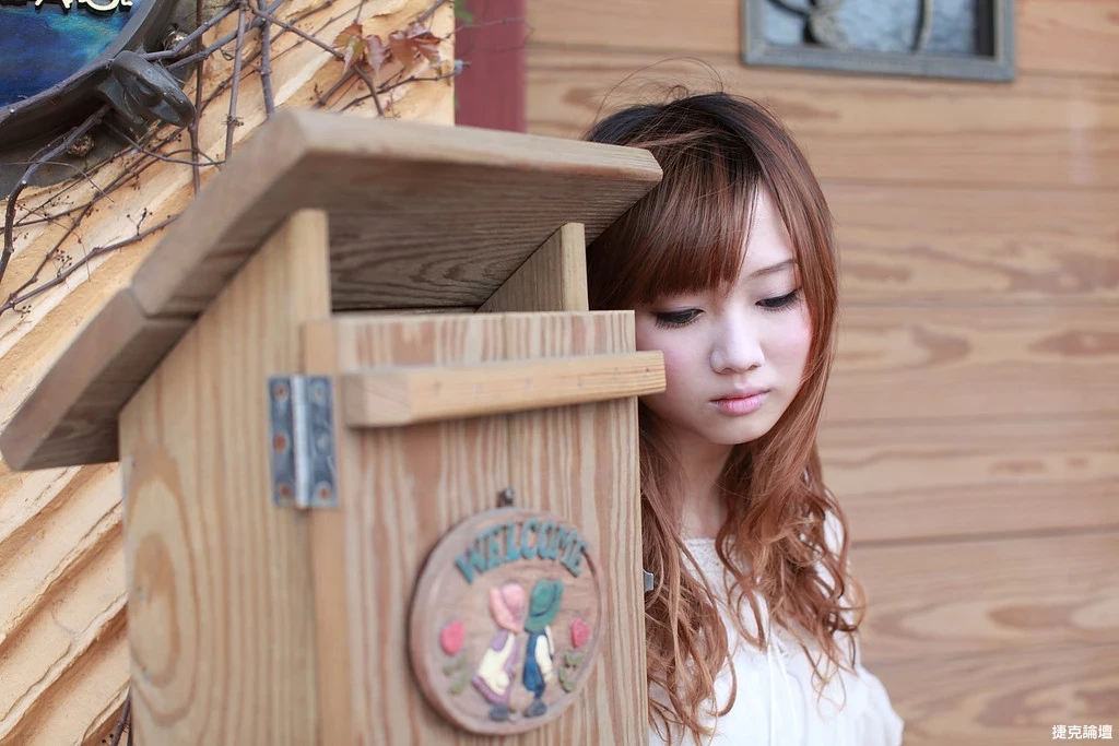17509196.webp
