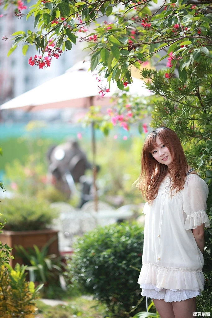 17509208.webp