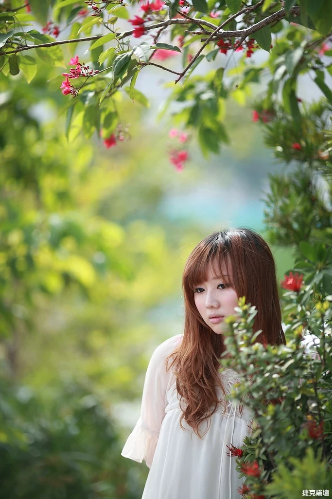 17509209.webp