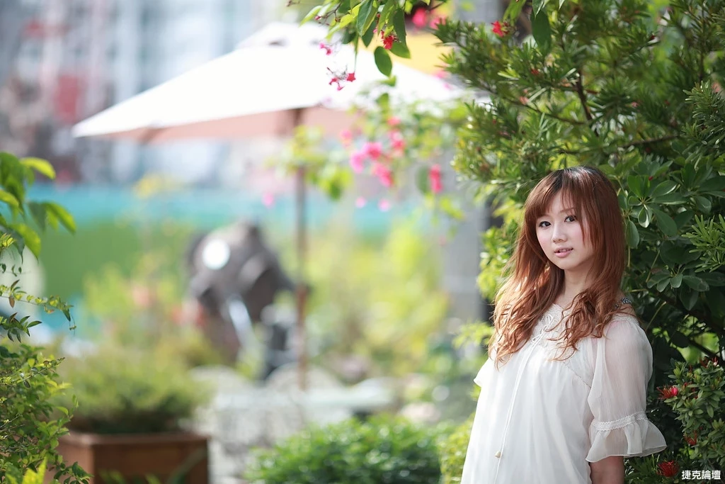 17509210.webp