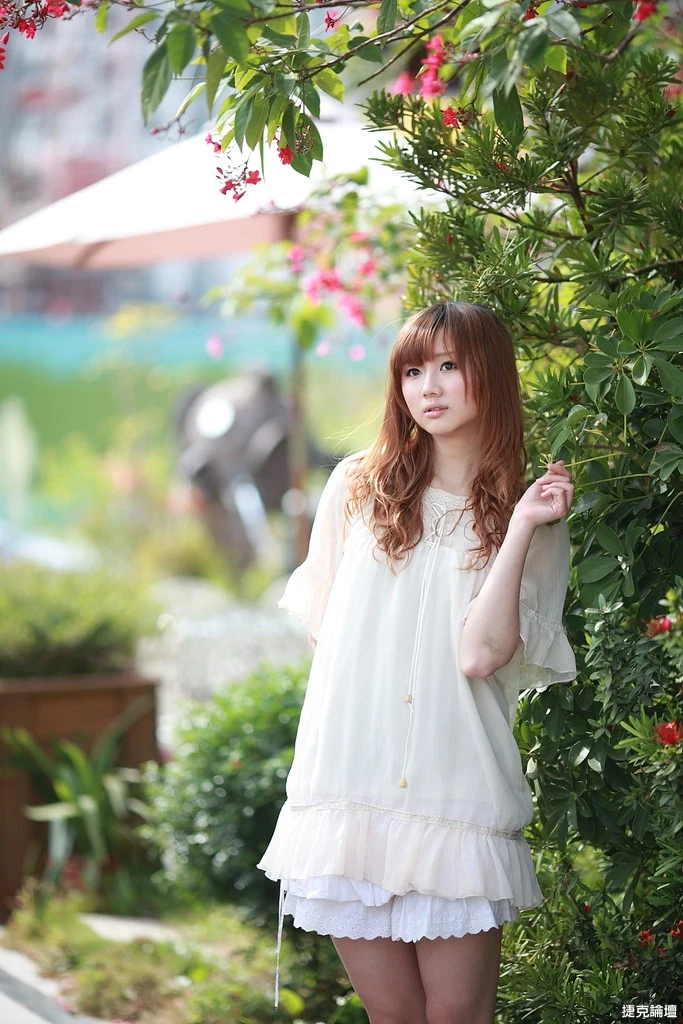 17509211.webp