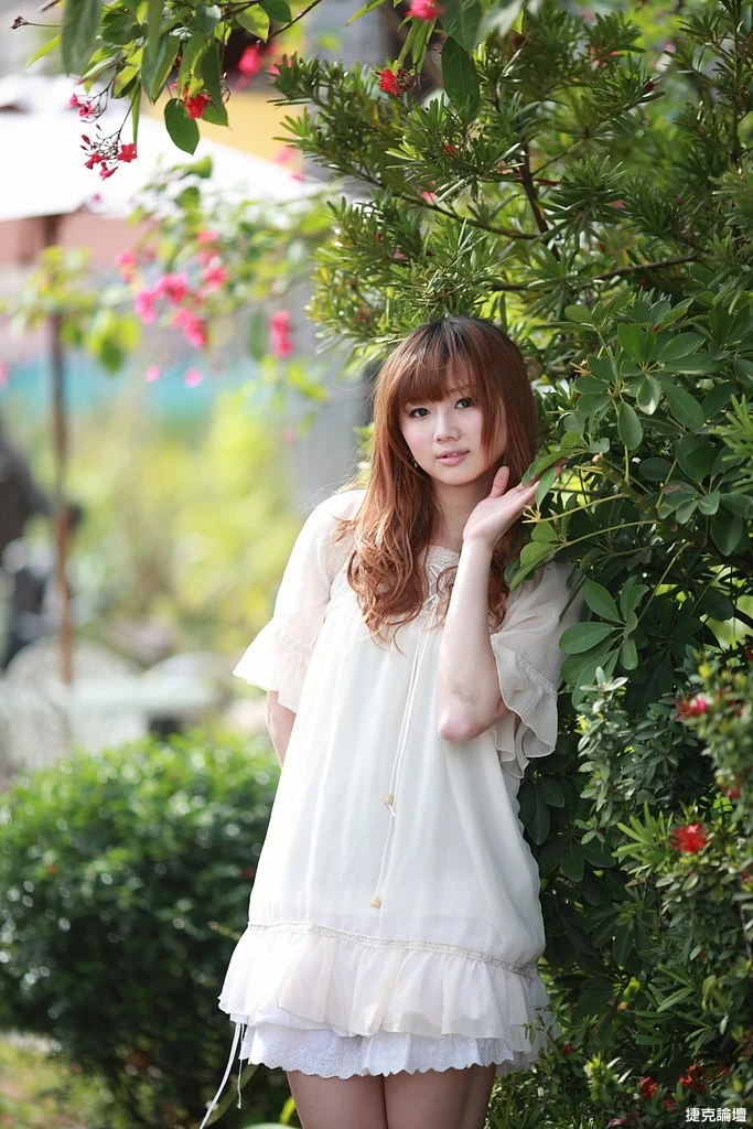 17509212.webp