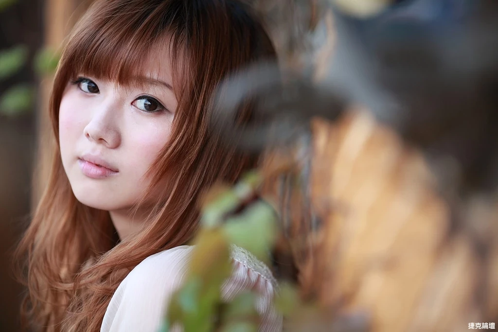17509224.webp