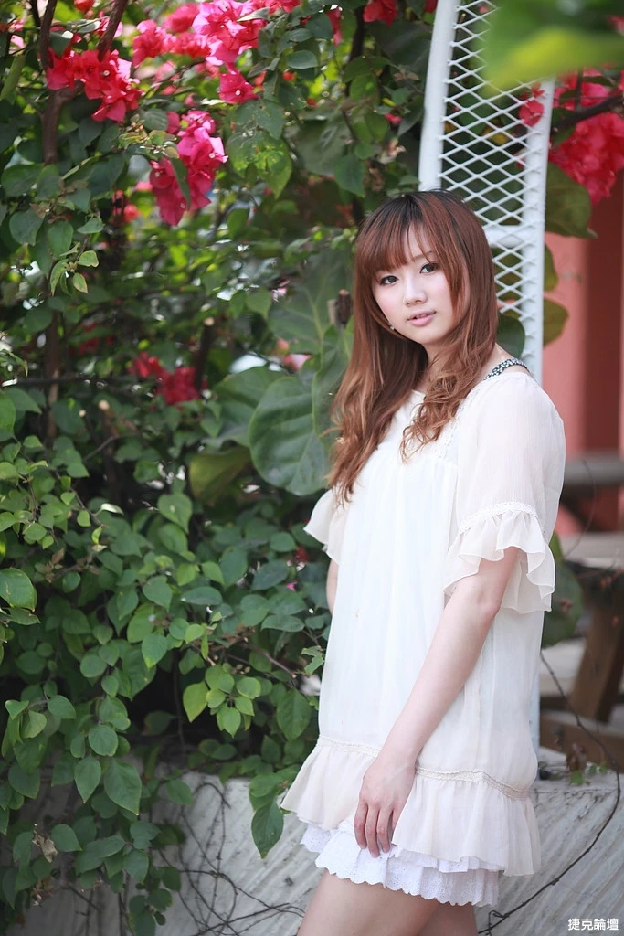17509231.webp