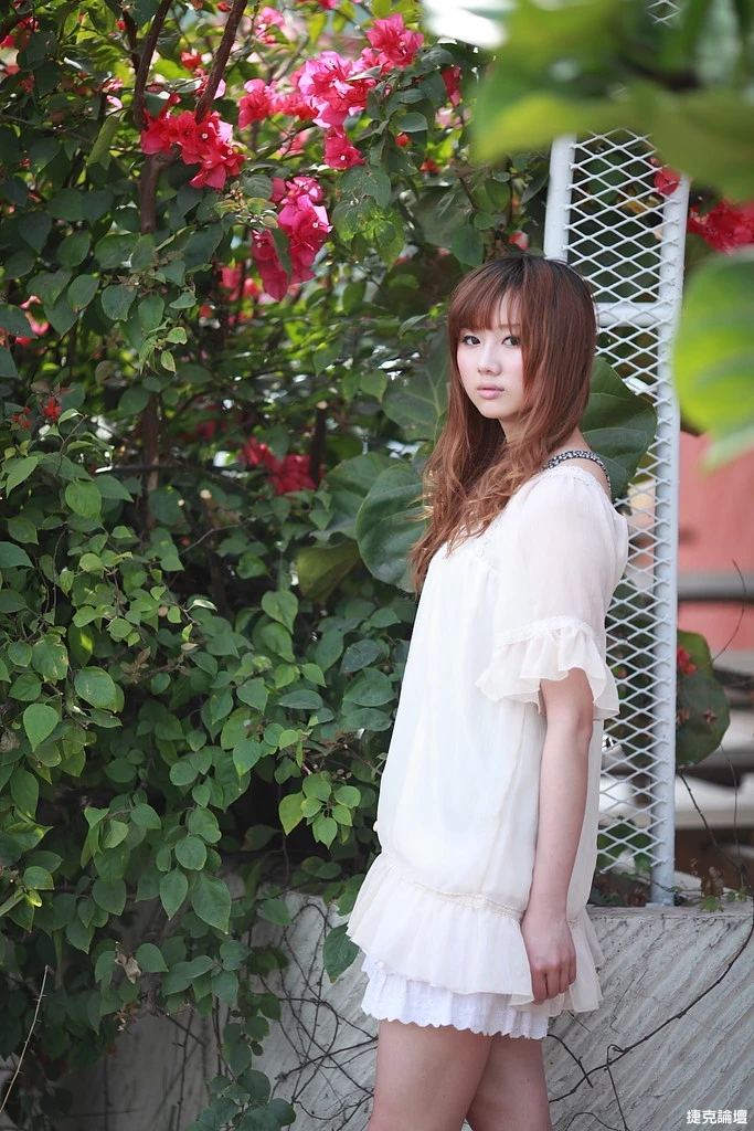 17509230.webp
