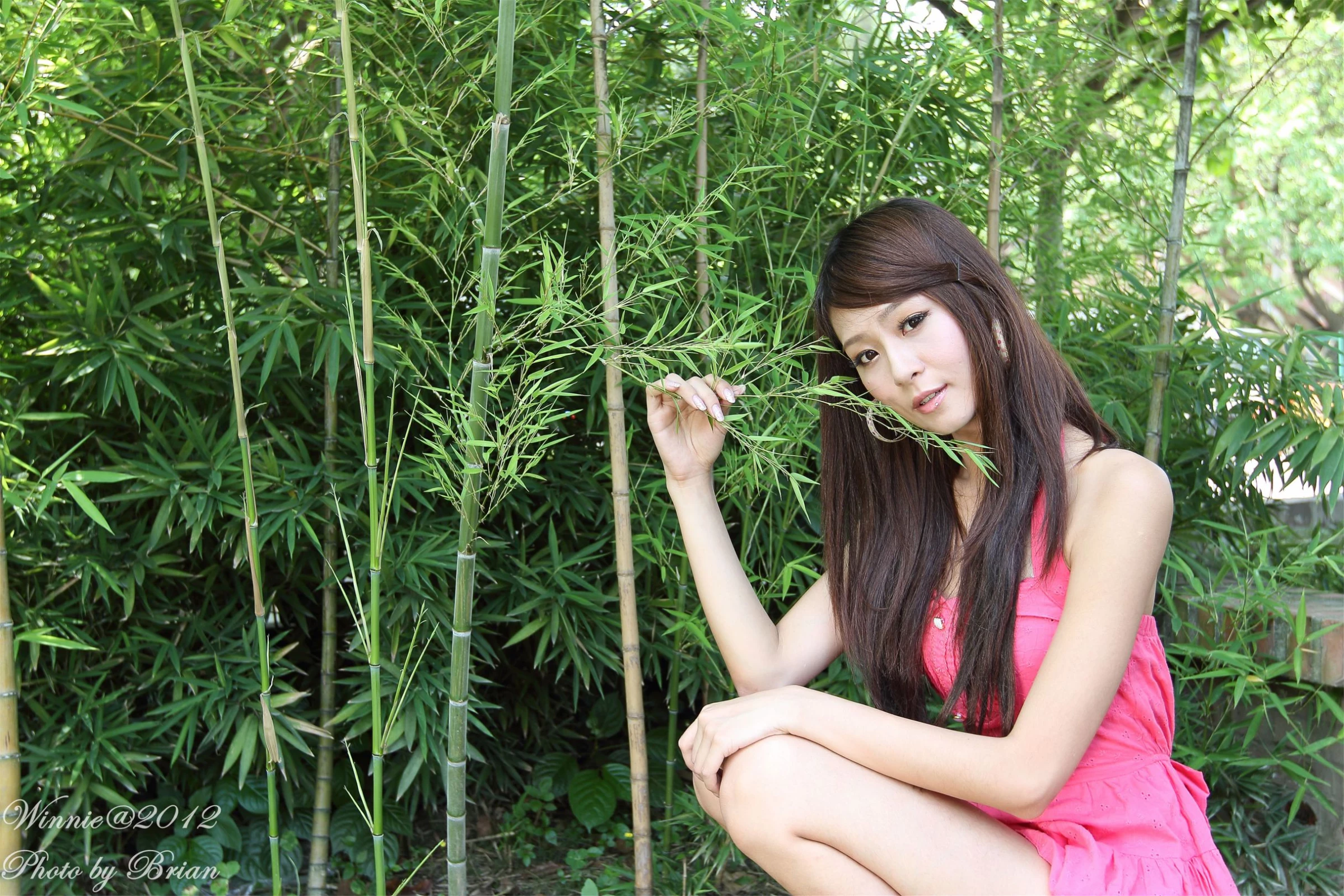 30750510.webp