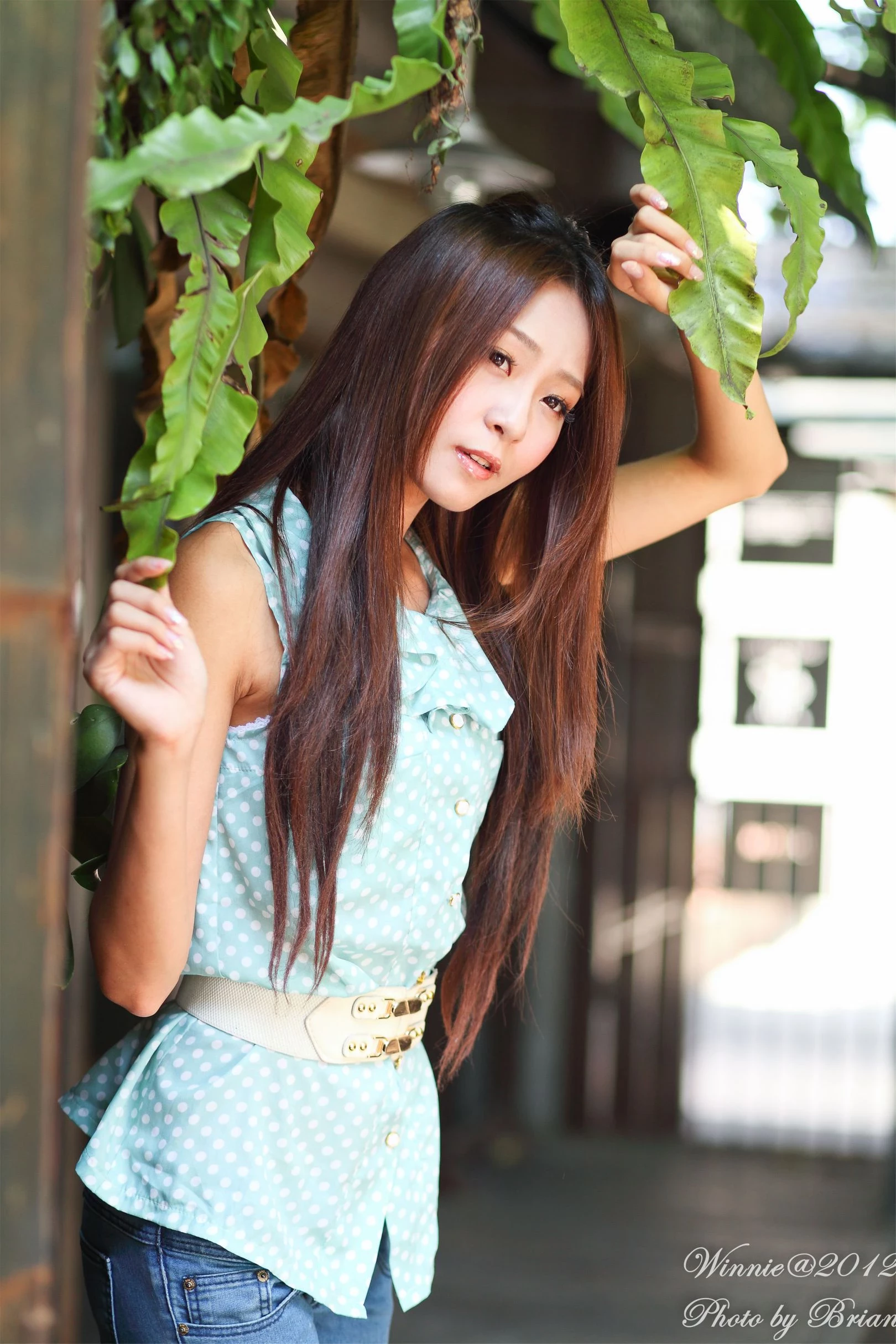 30750529.webp