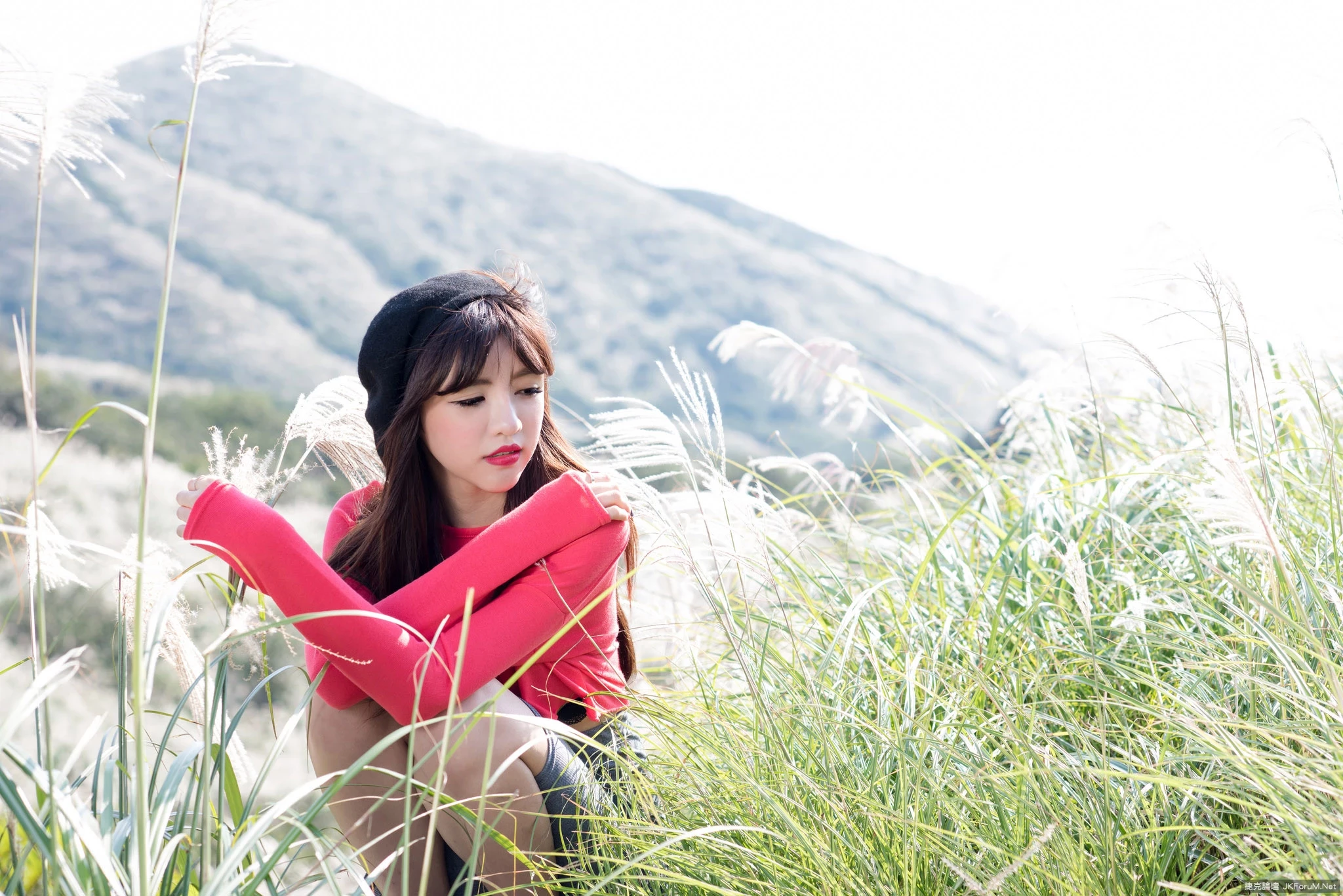 17082542.webp
