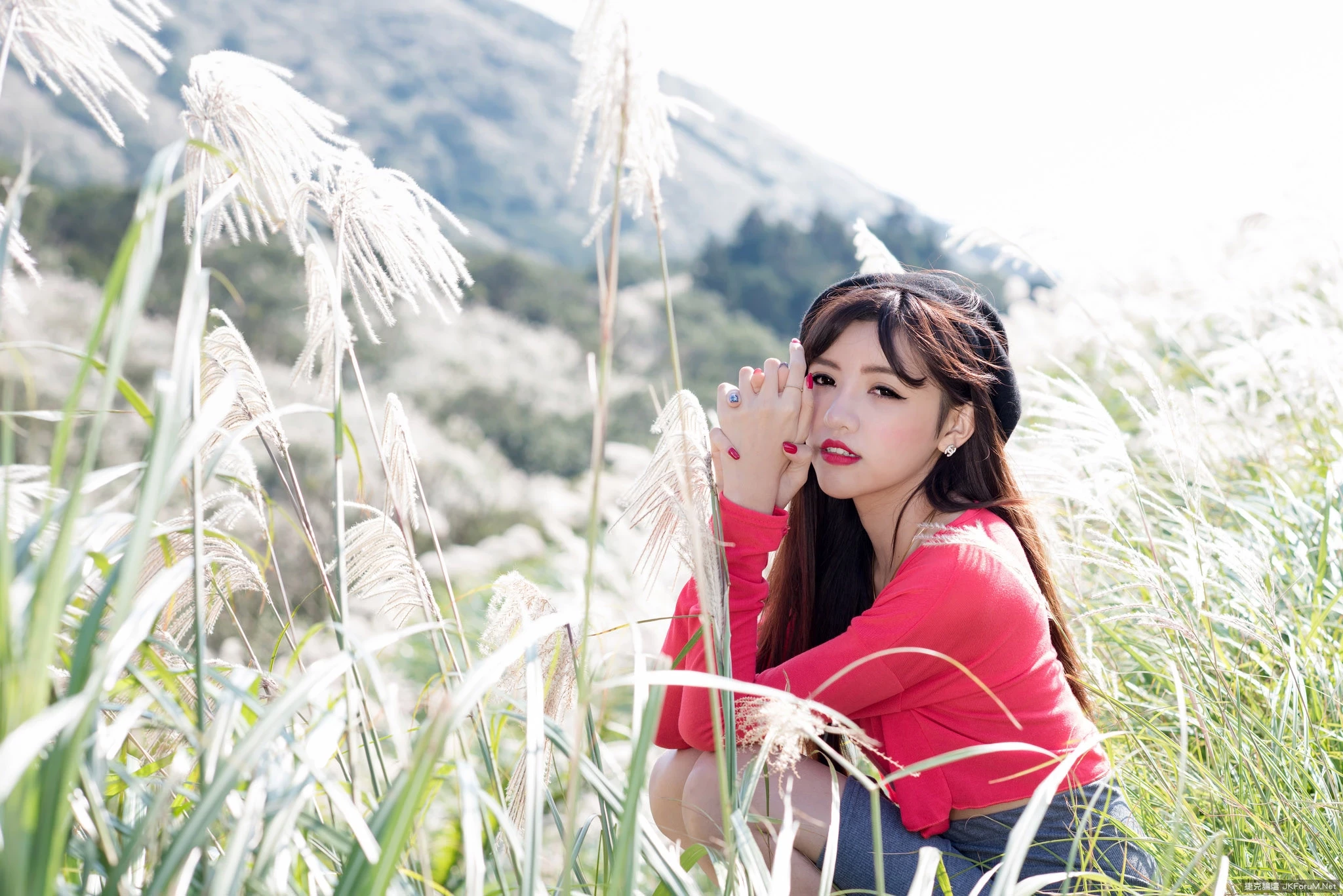 17082552.webp
