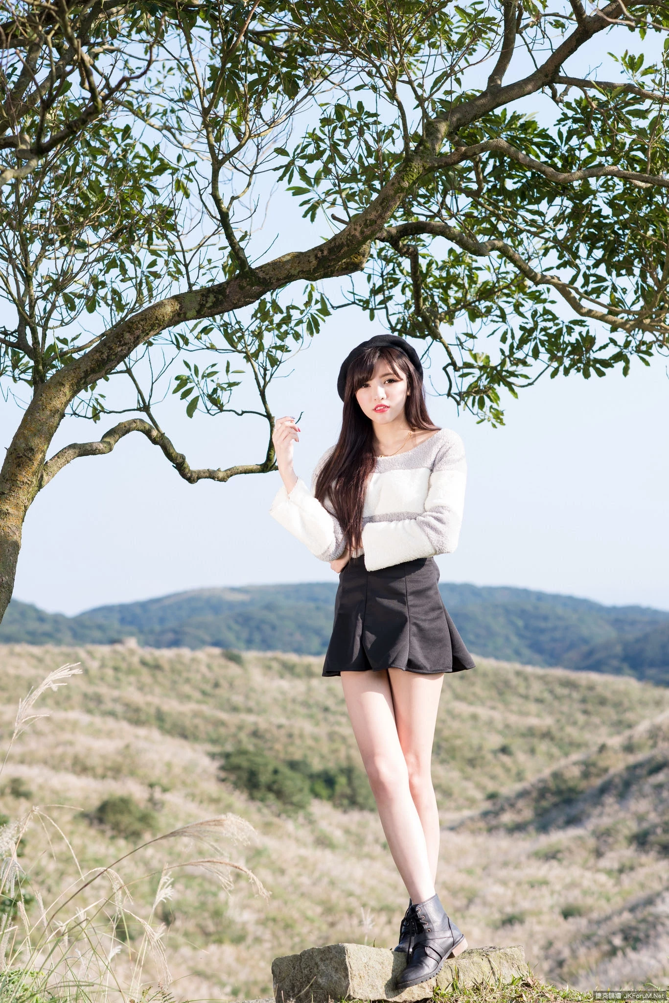 17082556.webp