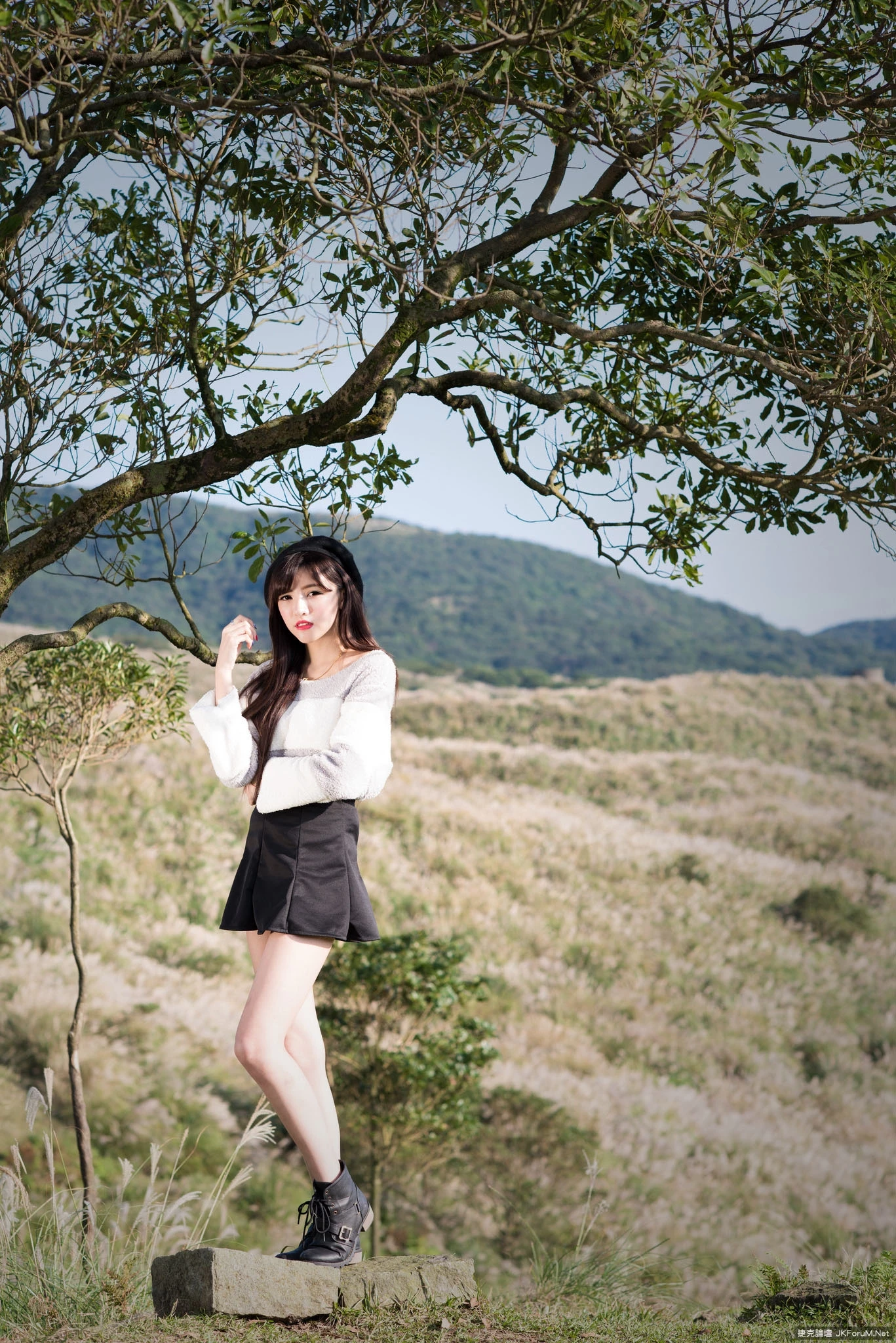 17082557.webp