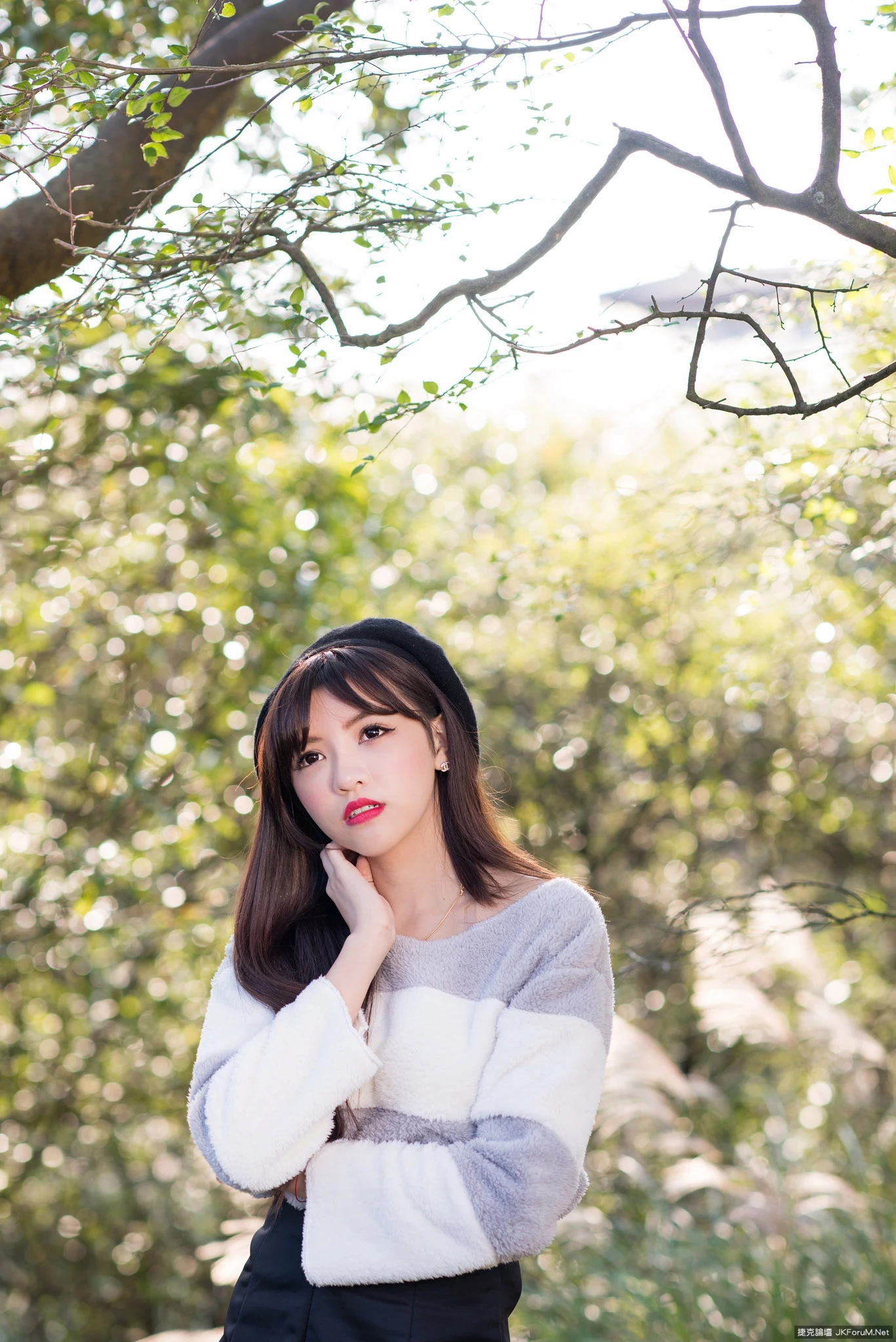 17082562.webp