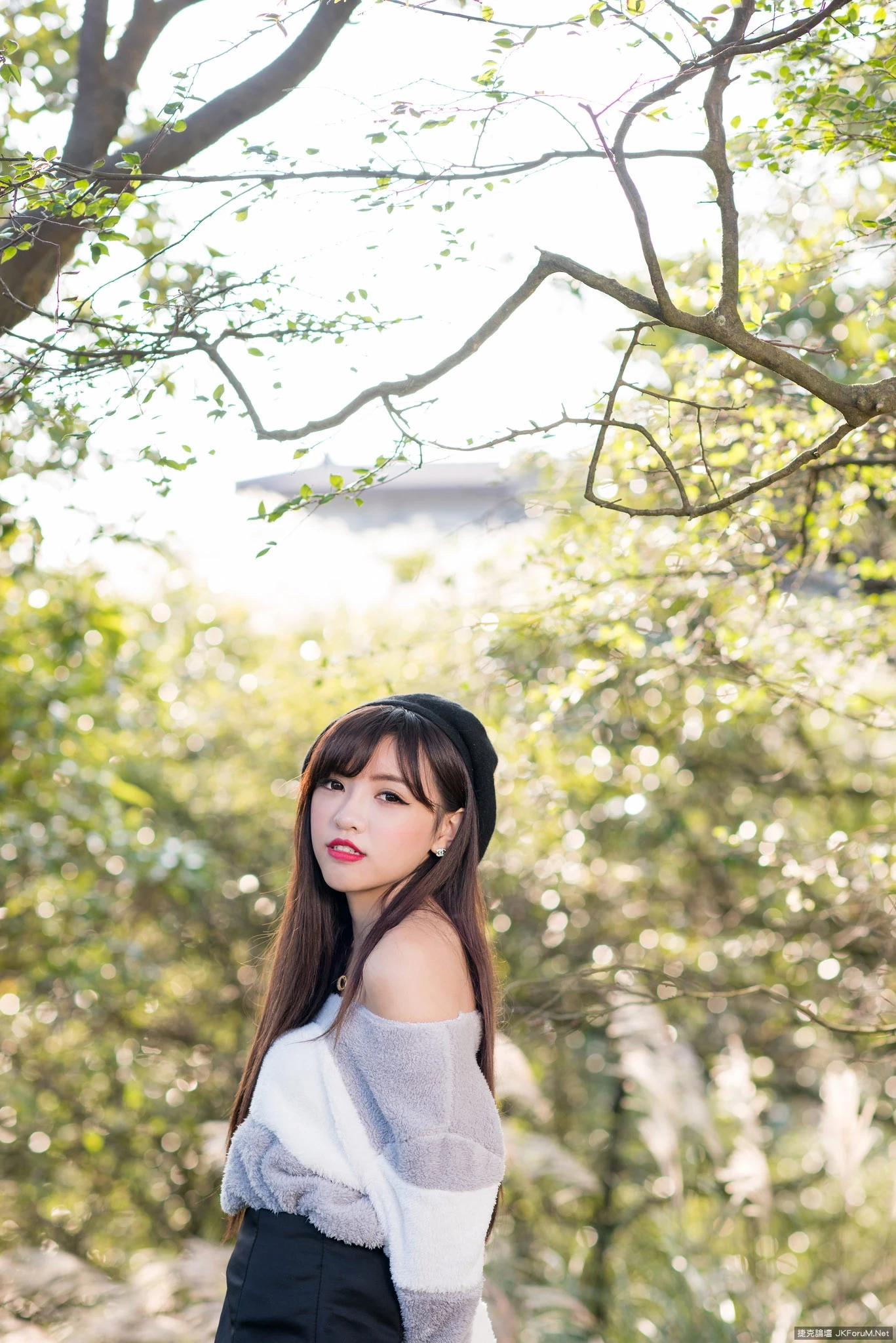 17082565.webp