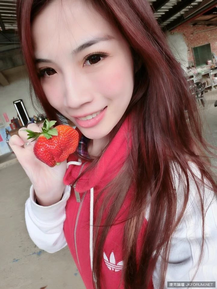 16993826.webp