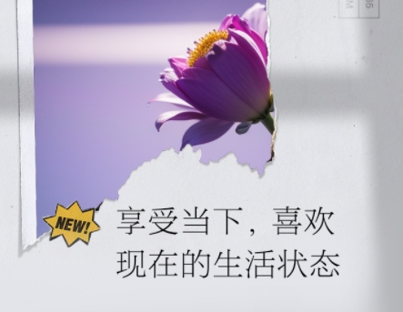 微信截图_20250521061111.png